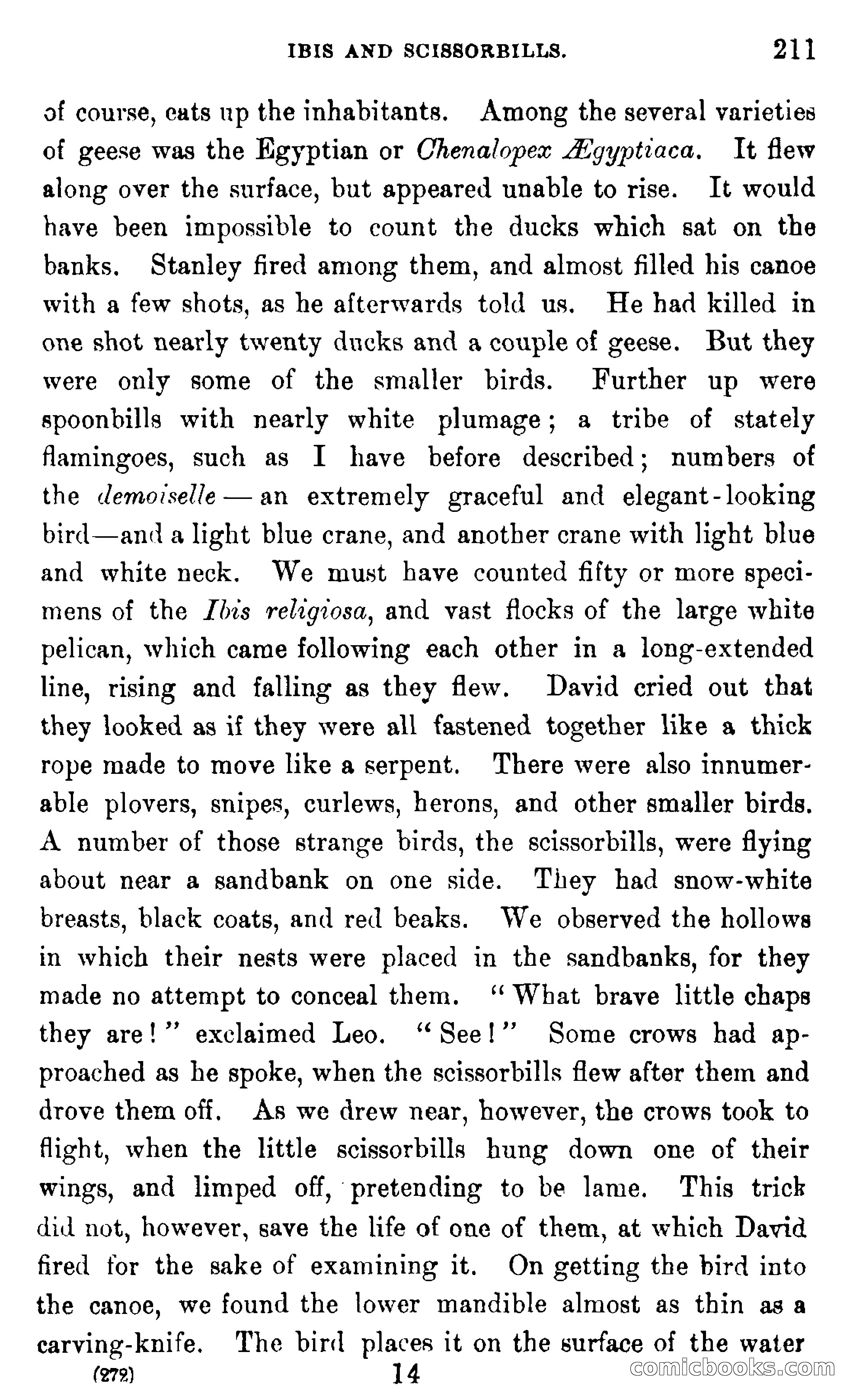 In the Wilds of Africa — page 211 of 400