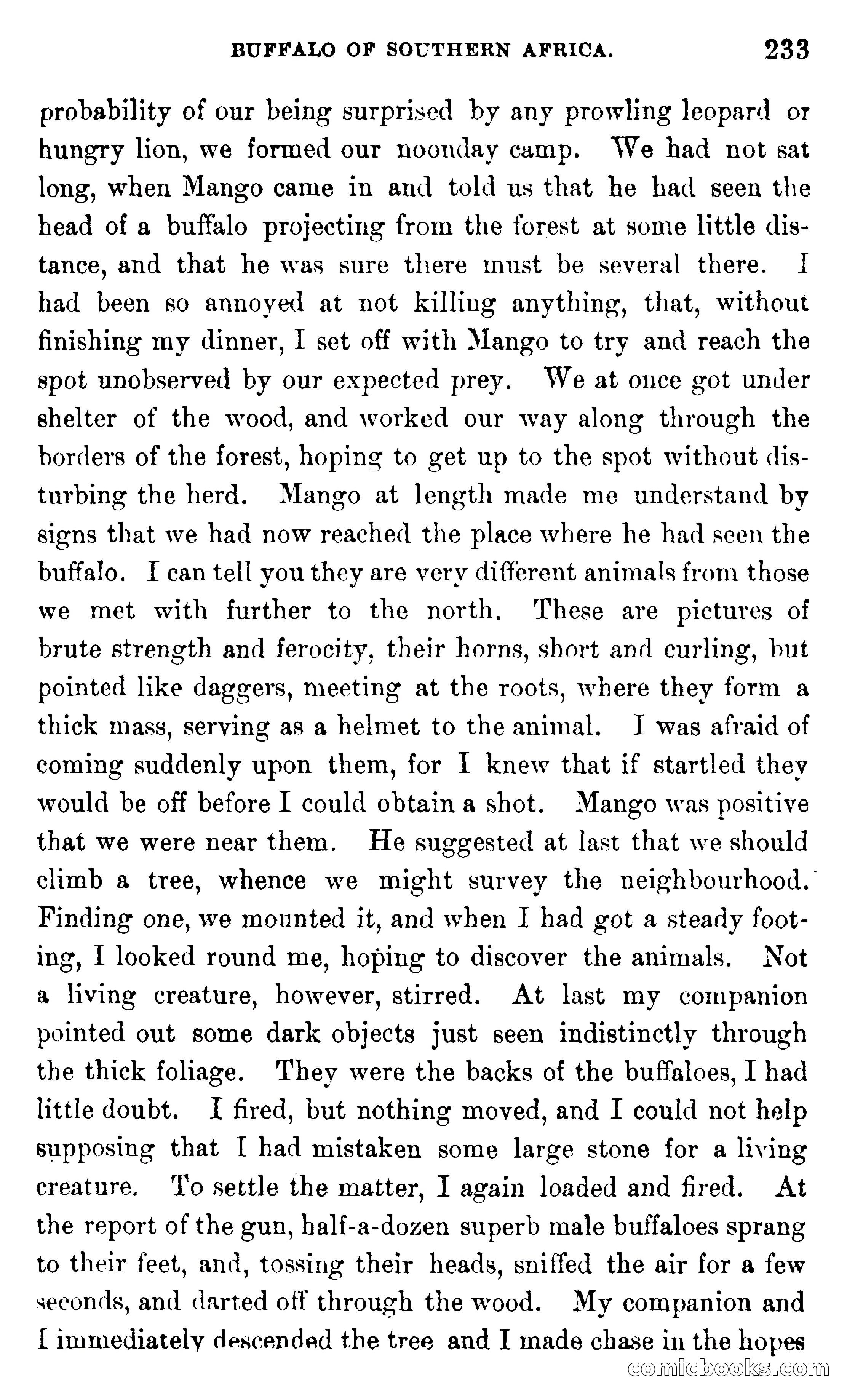 In the Wilds of Africa — page 233 of 400