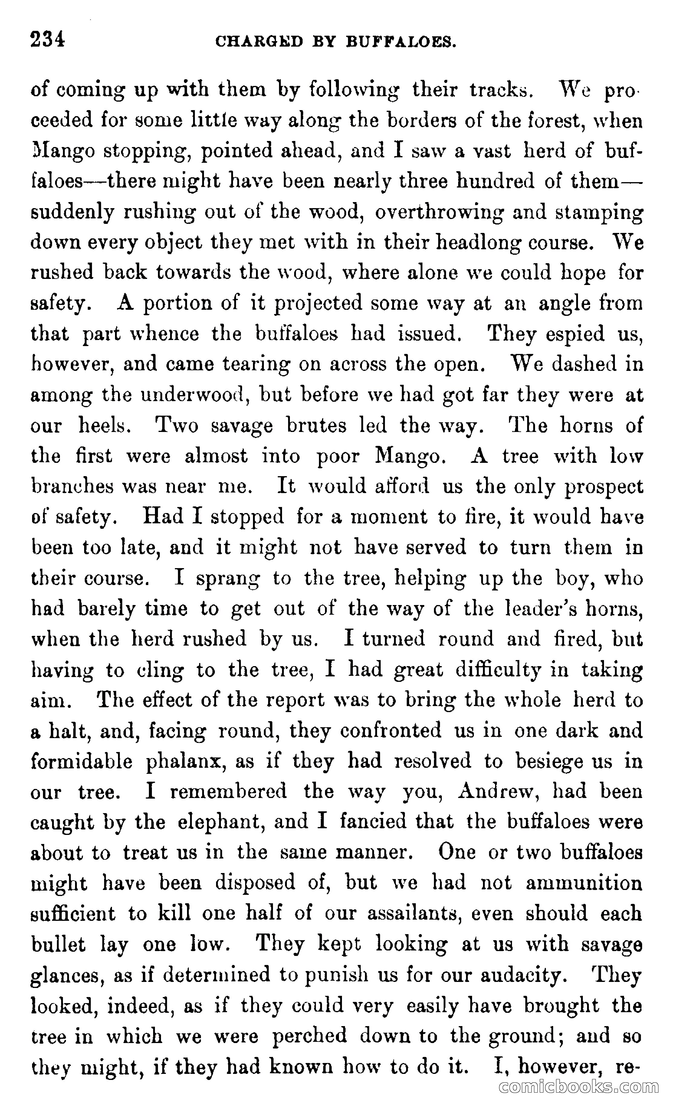 In the Wilds of Africa — page 234 of 400