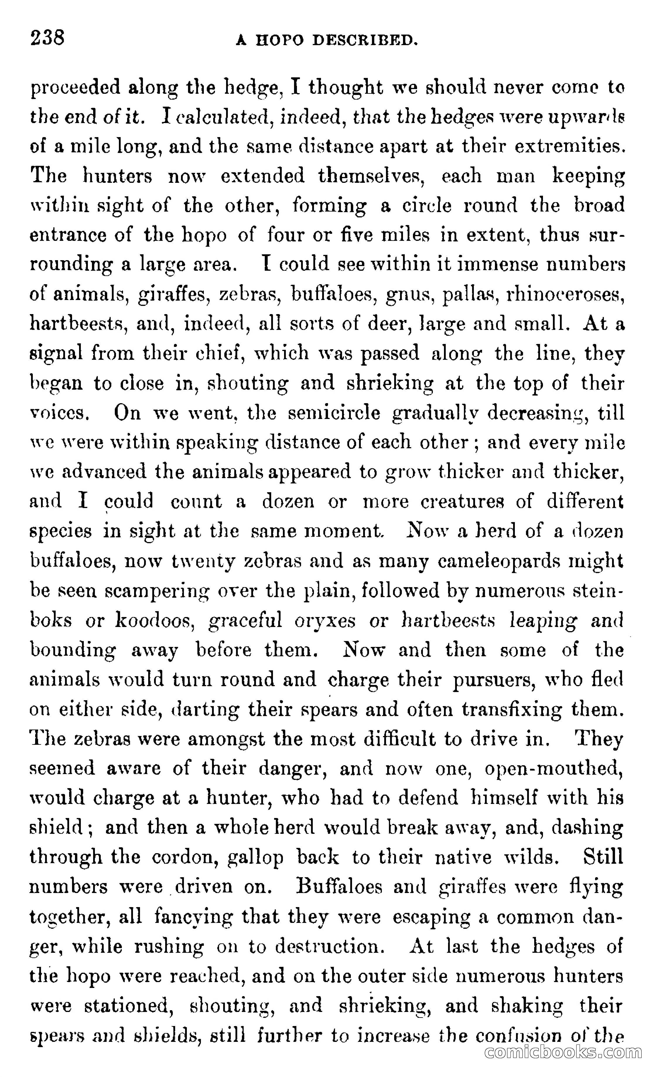 In the Wilds of Africa — page 238 of 400
