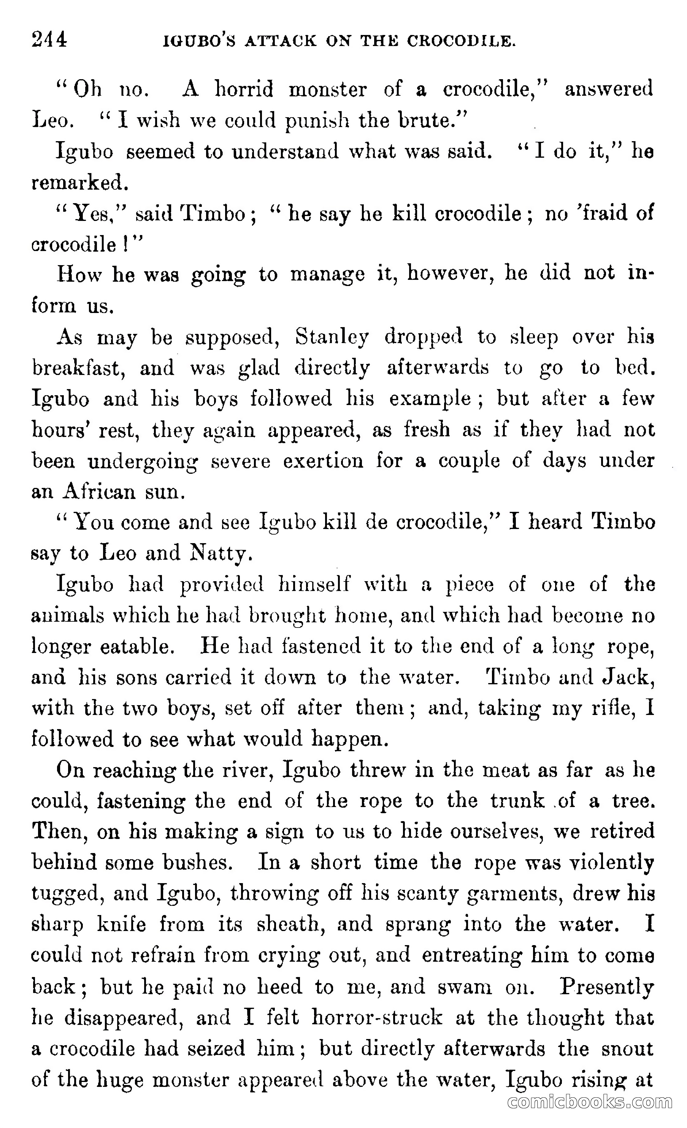 In the Wilds of Africa — page 244 of 400
