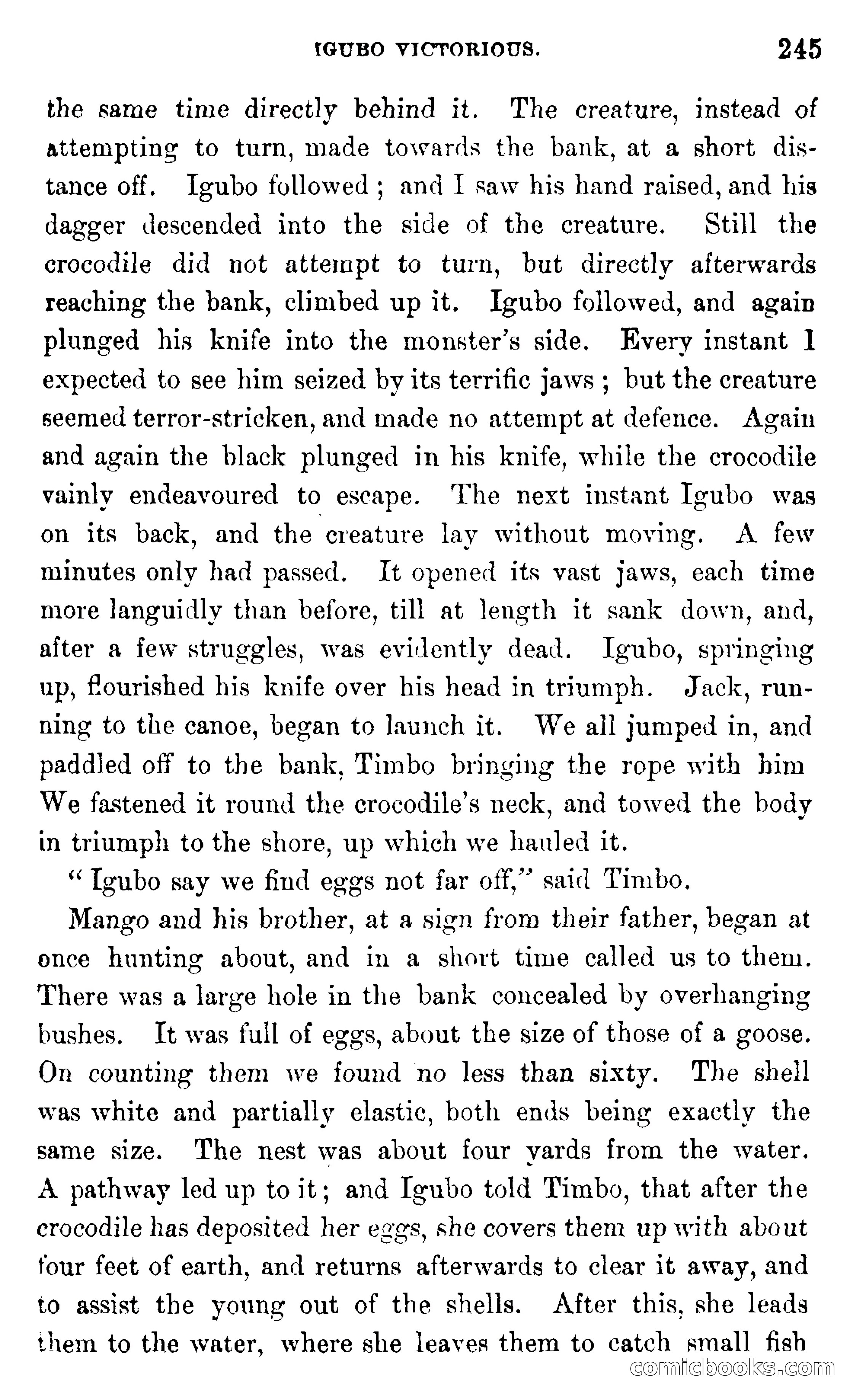 In the Wilds of Africa — page 245 of 400