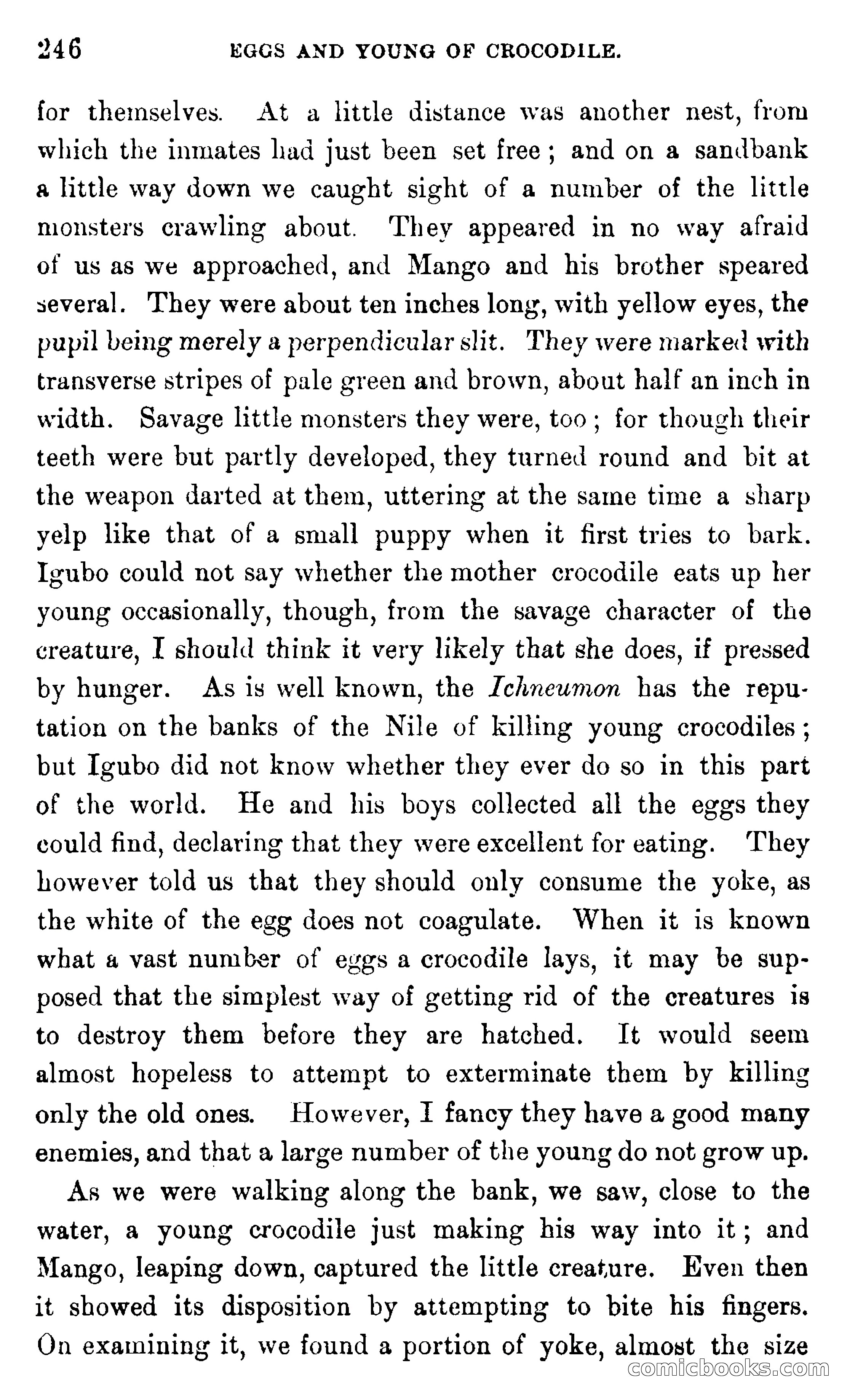 In the Wilds of Africa — page 246 of 400