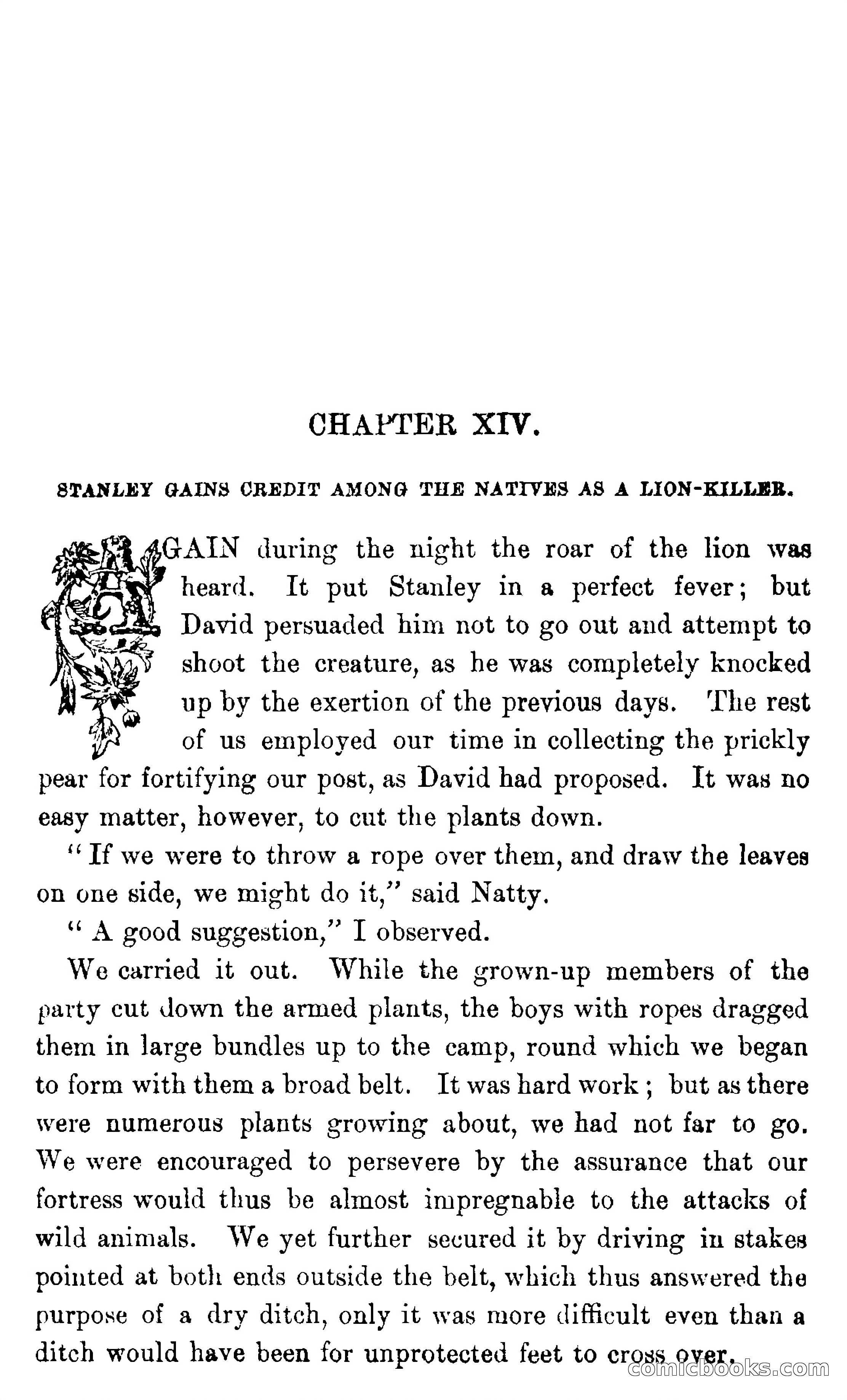 In the Wilds of Africa — page 248 of 400