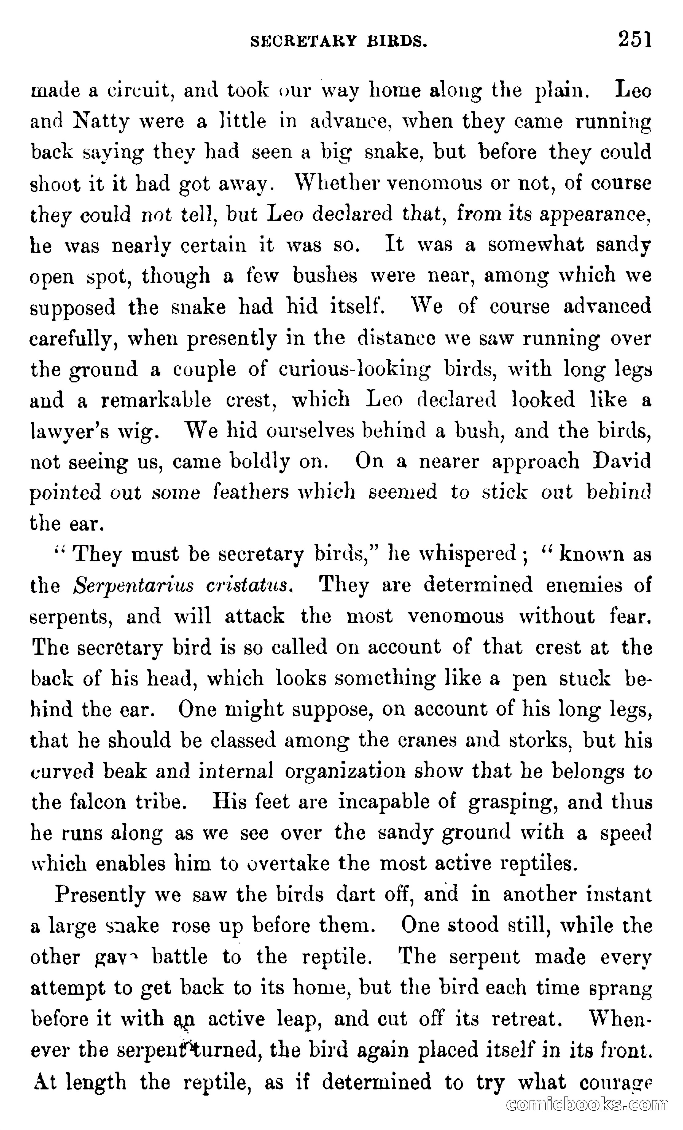 In the Wilds of Africa — page 251 of 400