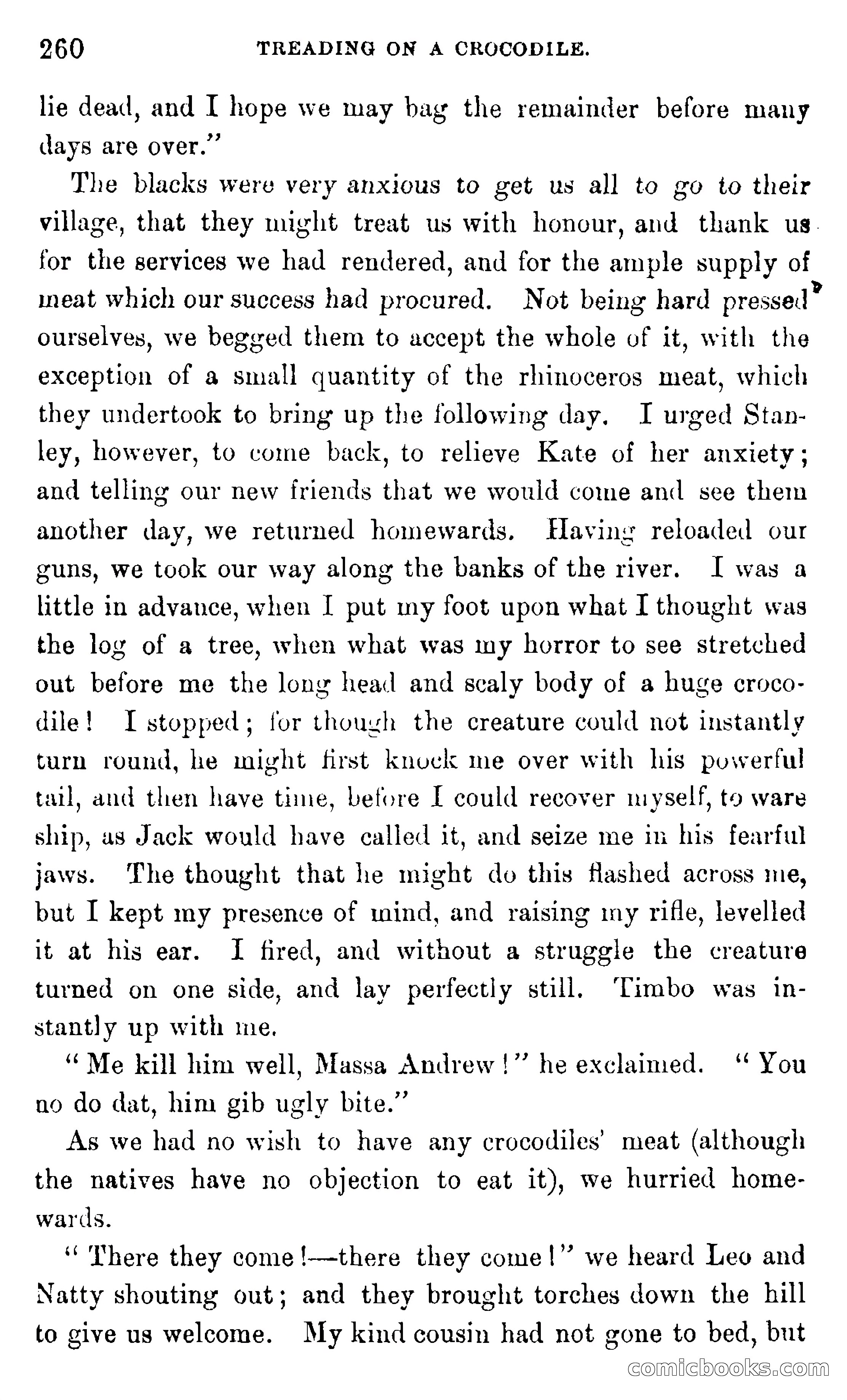 In the Wilds of Africa — page 260 of 400