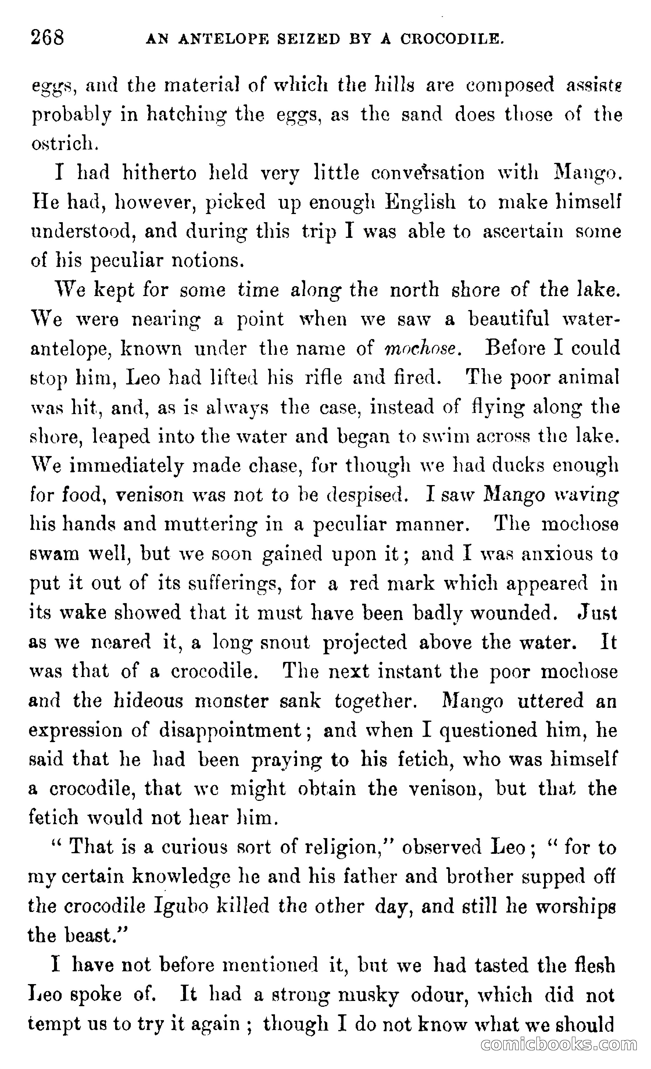 In the Wilds of Africa — page 268 of 400
