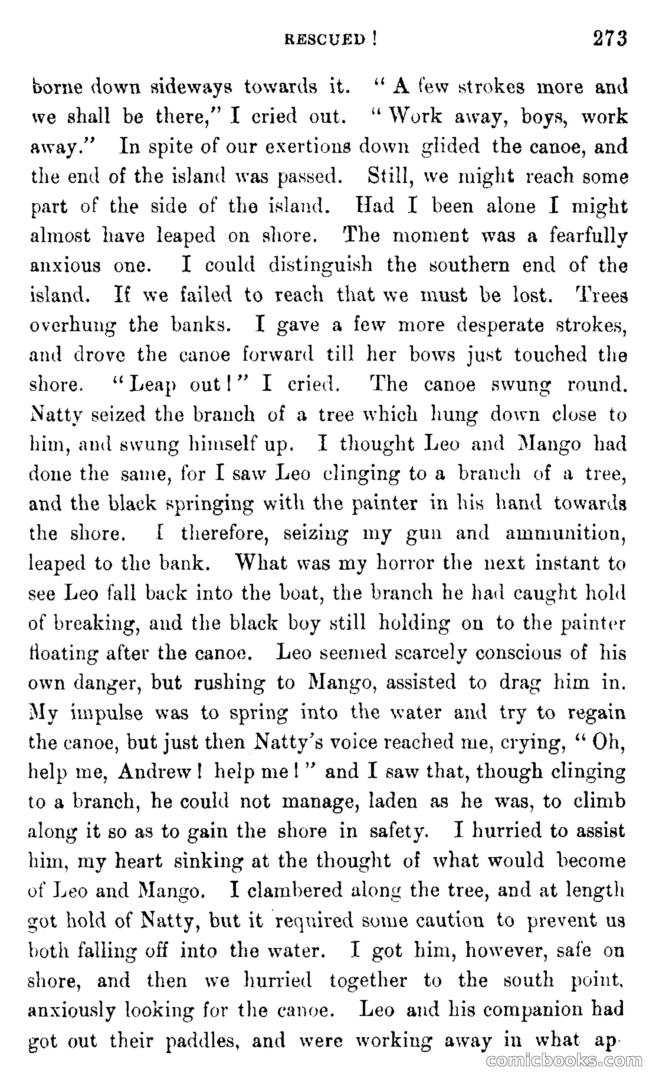 In the Wilds of Africa — page 273 of 400