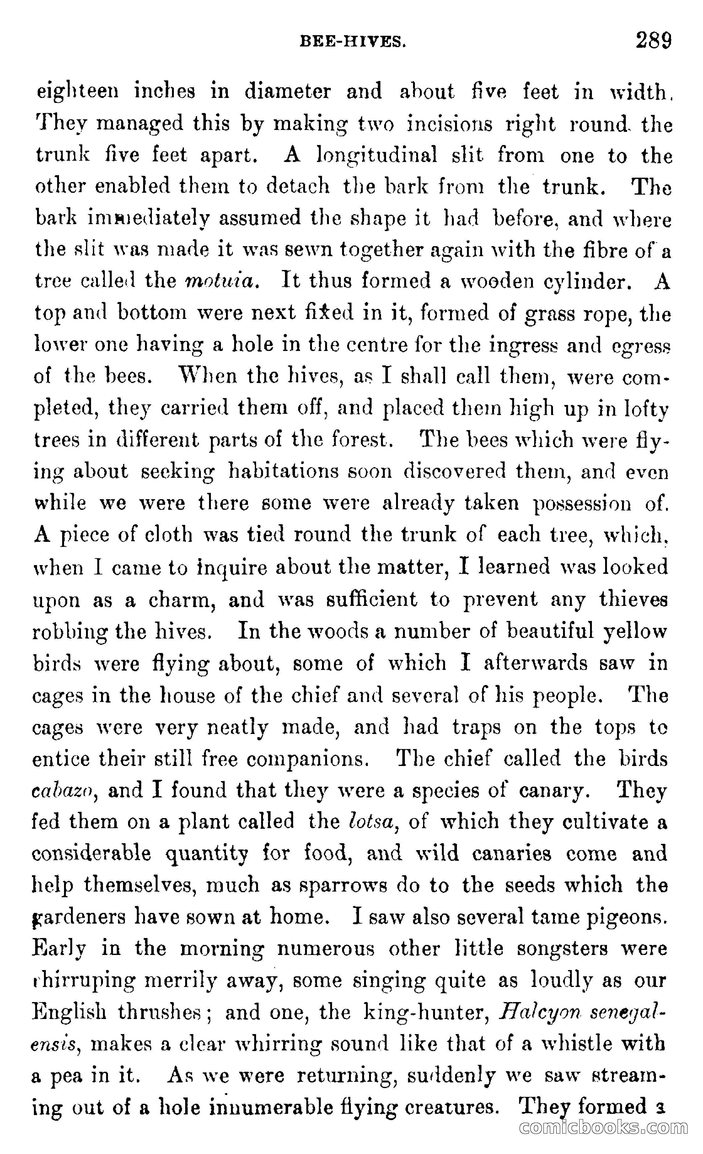In the Wilds of Africa — page 289 of 400