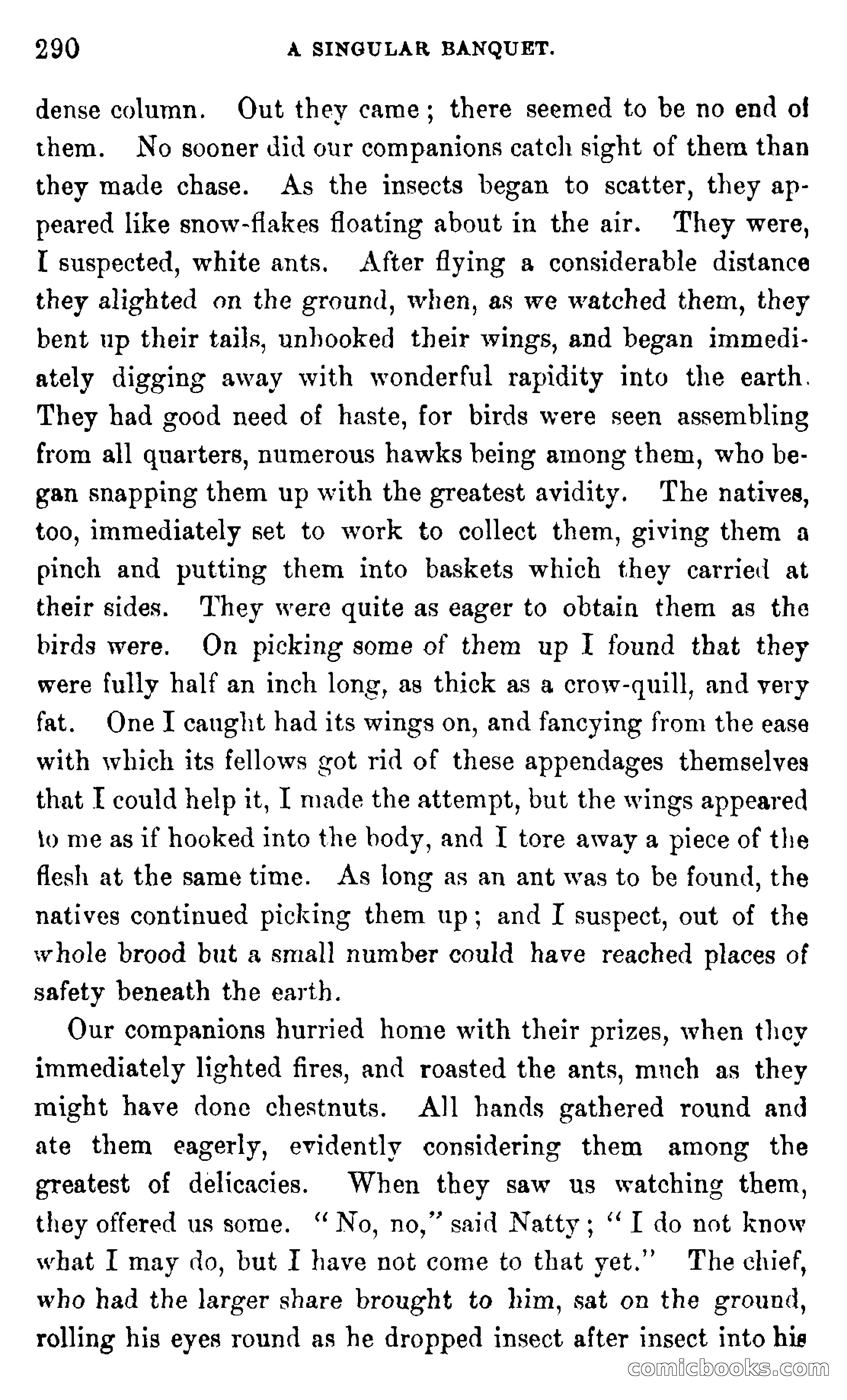 In the Wilds of Africa — page 290 of 400