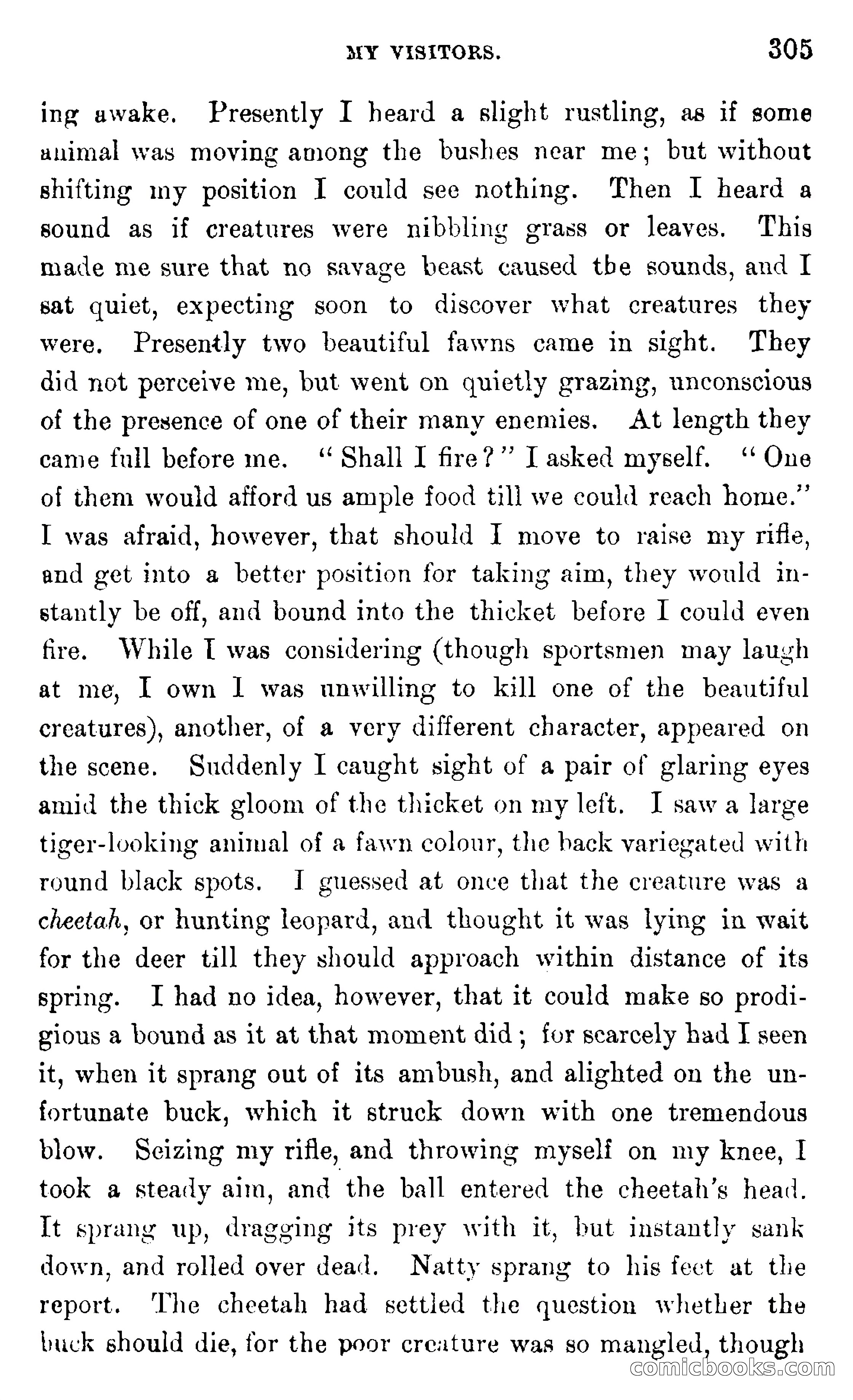 In the Wilds of Africa — page 305 of 400