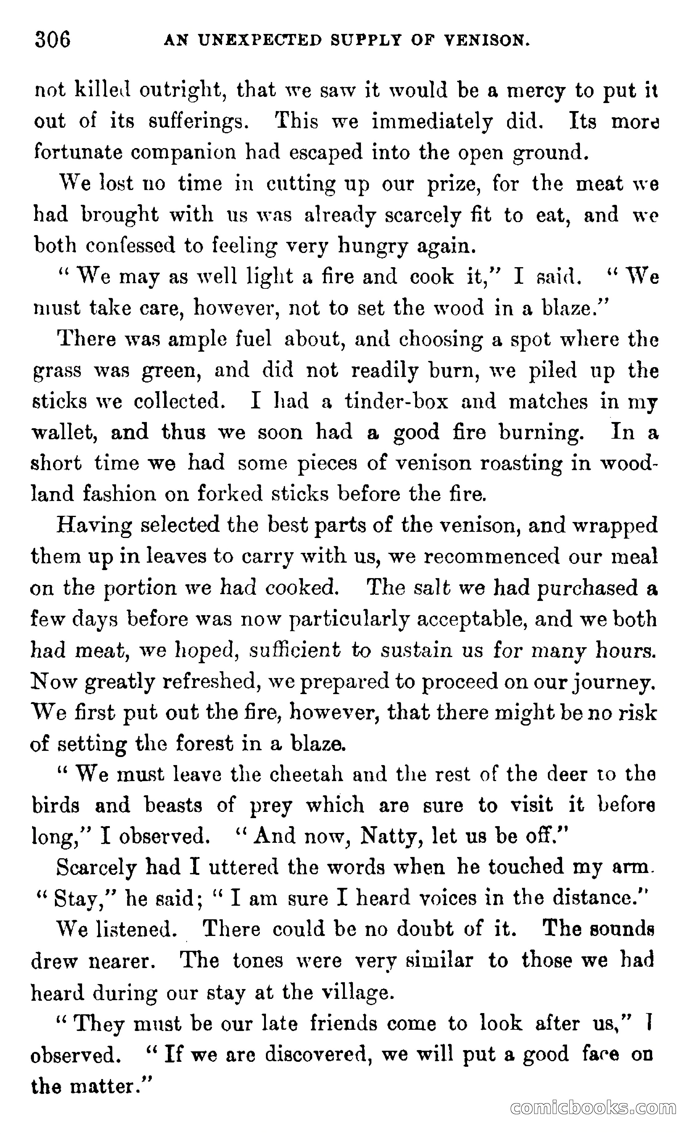 In the Wilds of Africa — page 306 of 400