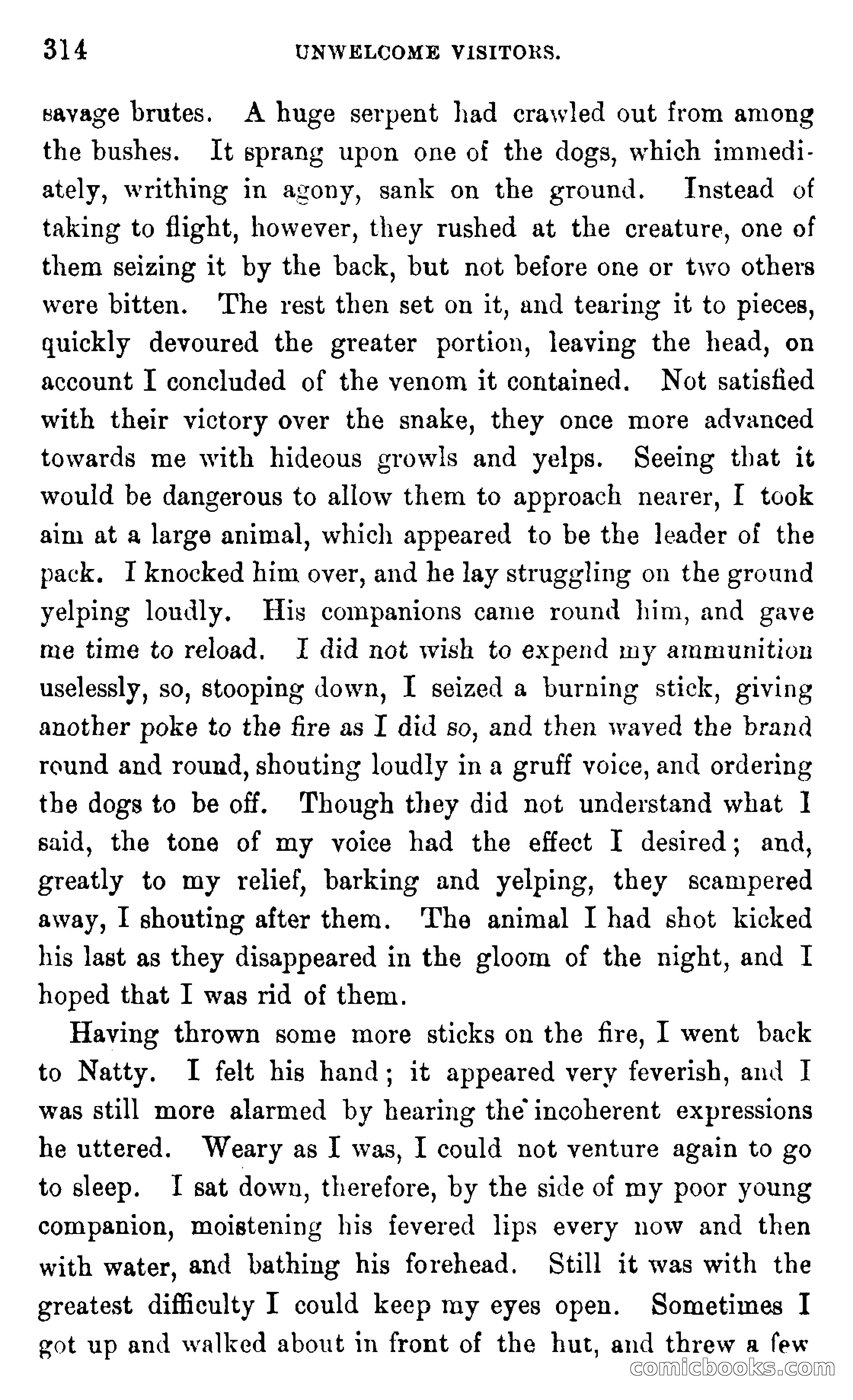 In the Wilds of Africa — page 314 of 400