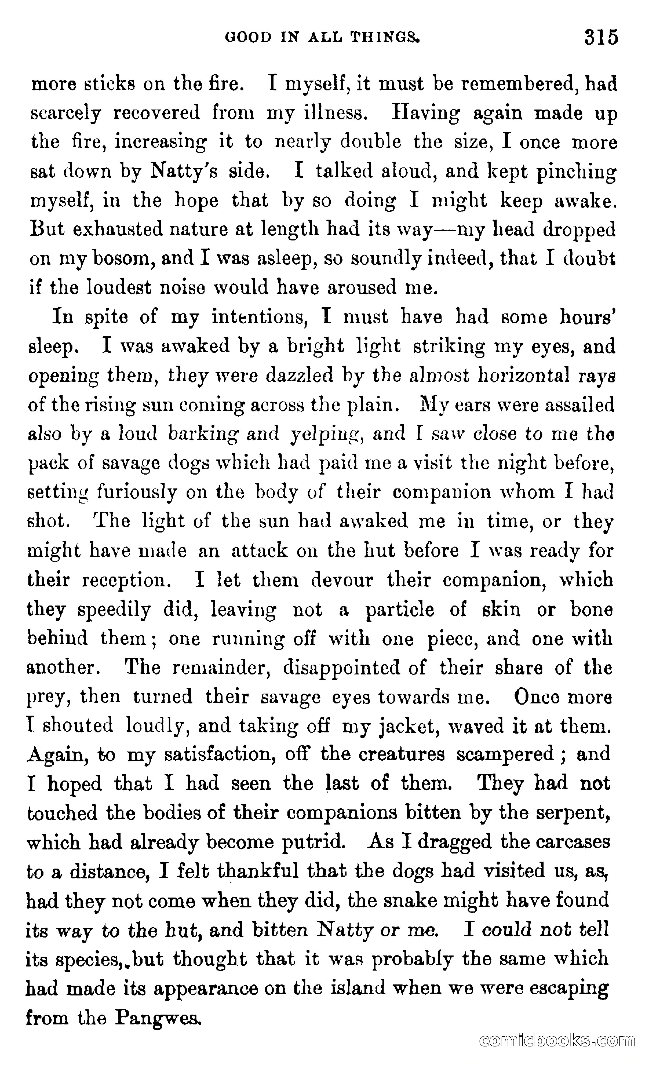 In the Wilds of Africa — page 315 of 400