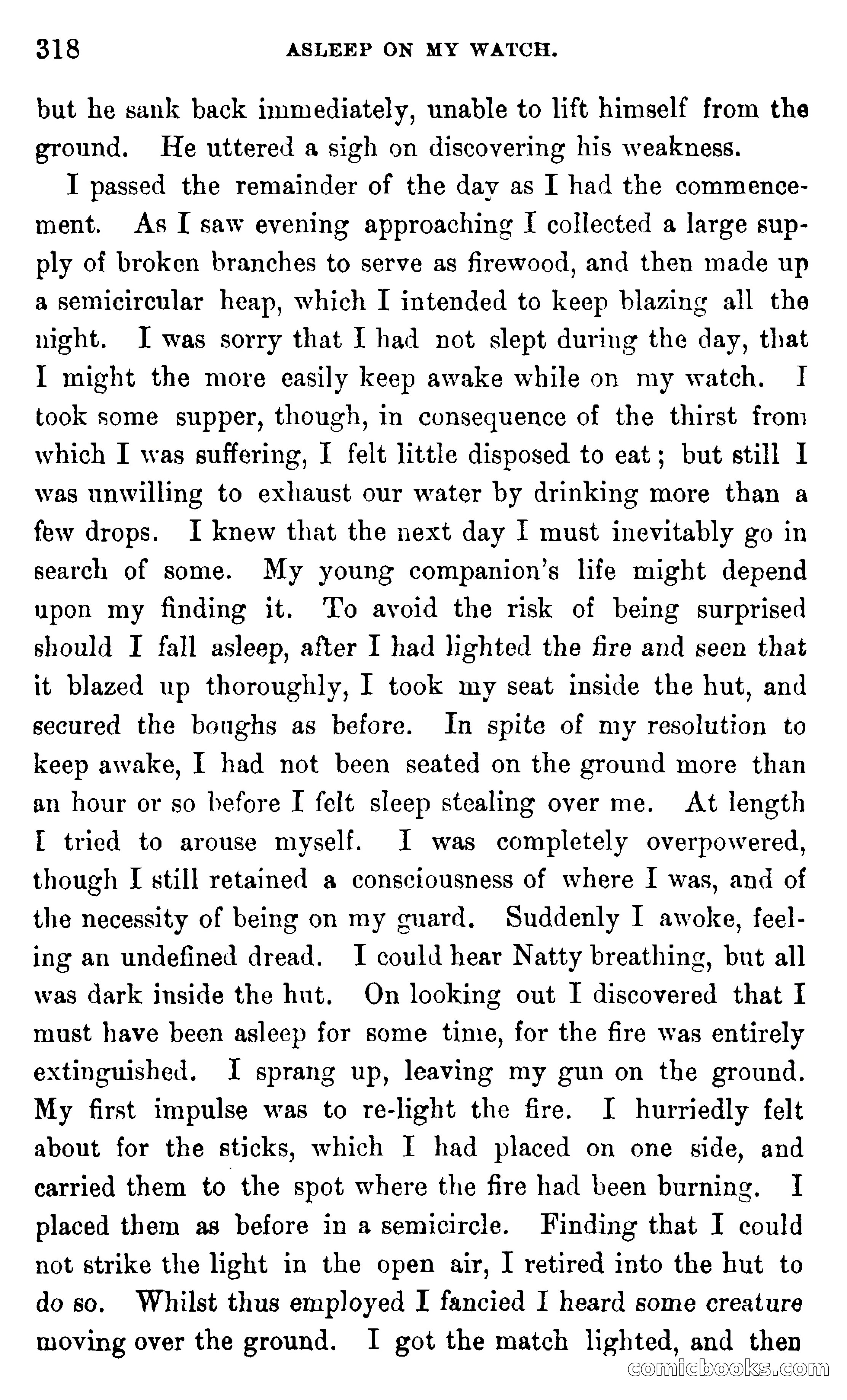In the Wilds of Africa — page 318 of 400