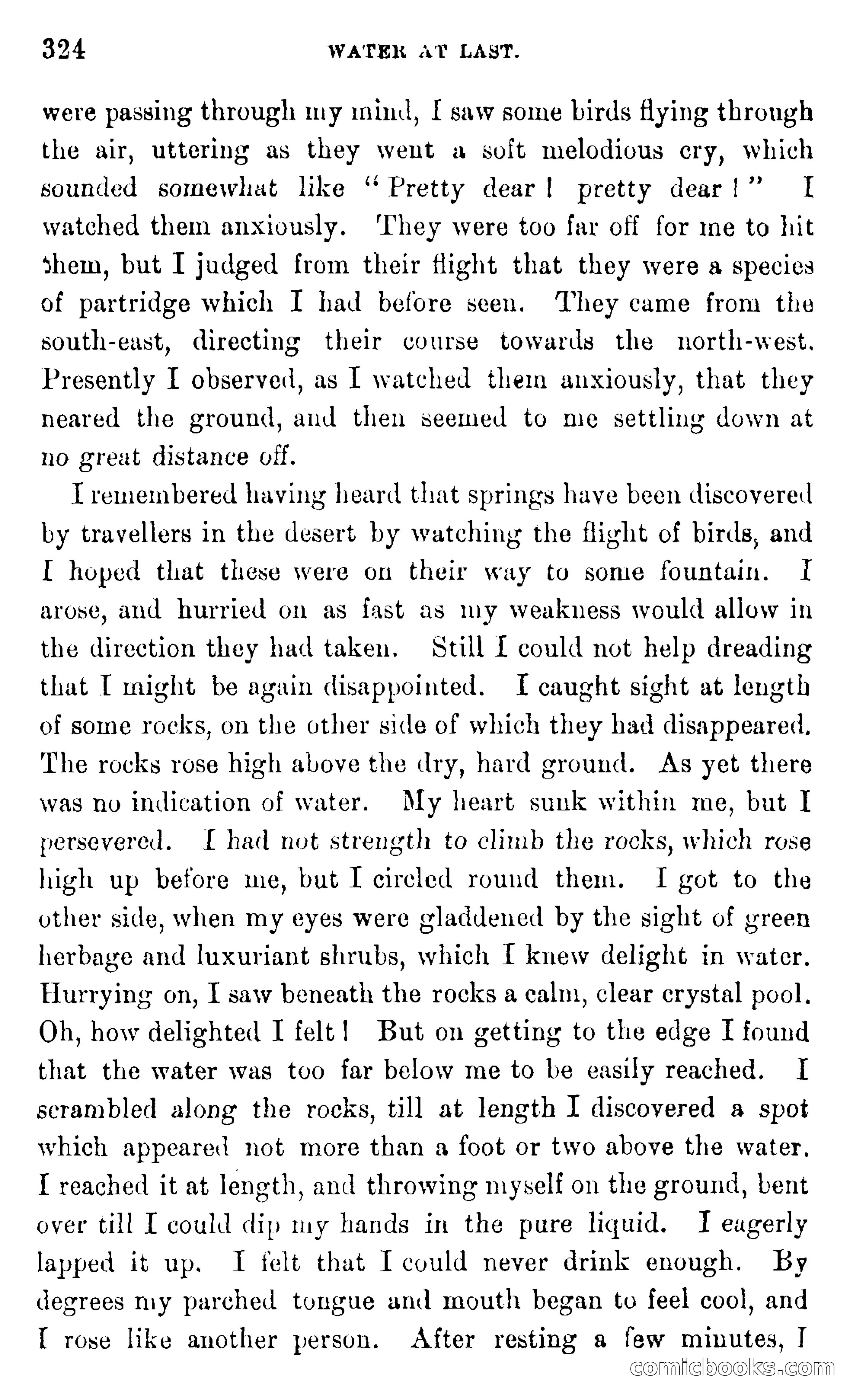 In the Wilds of Africa — page 324 of 400