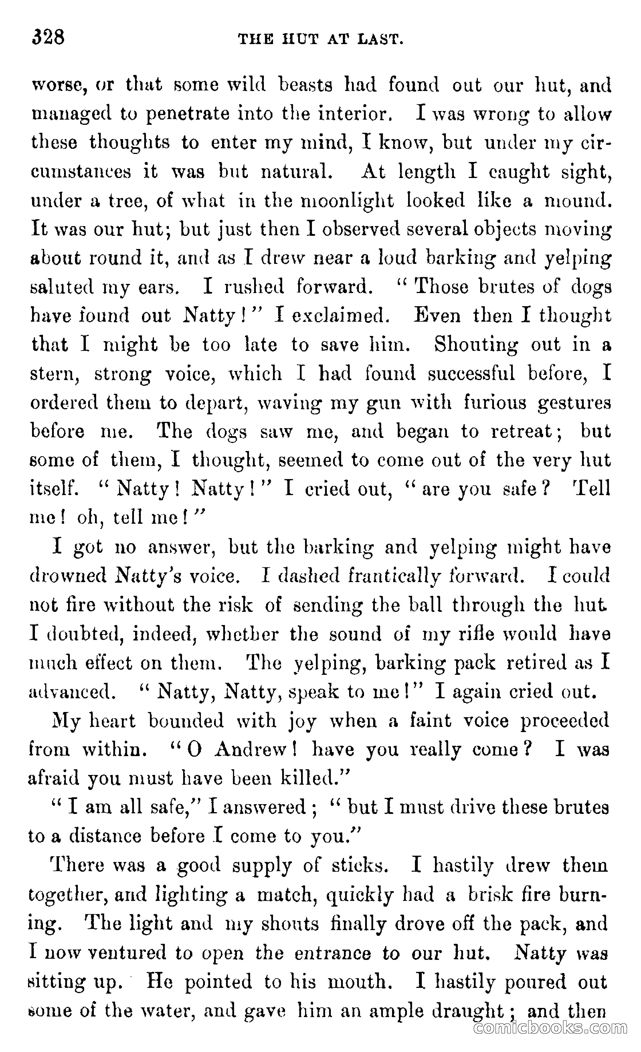 In the Wilds of Africa — page 328 of 400
