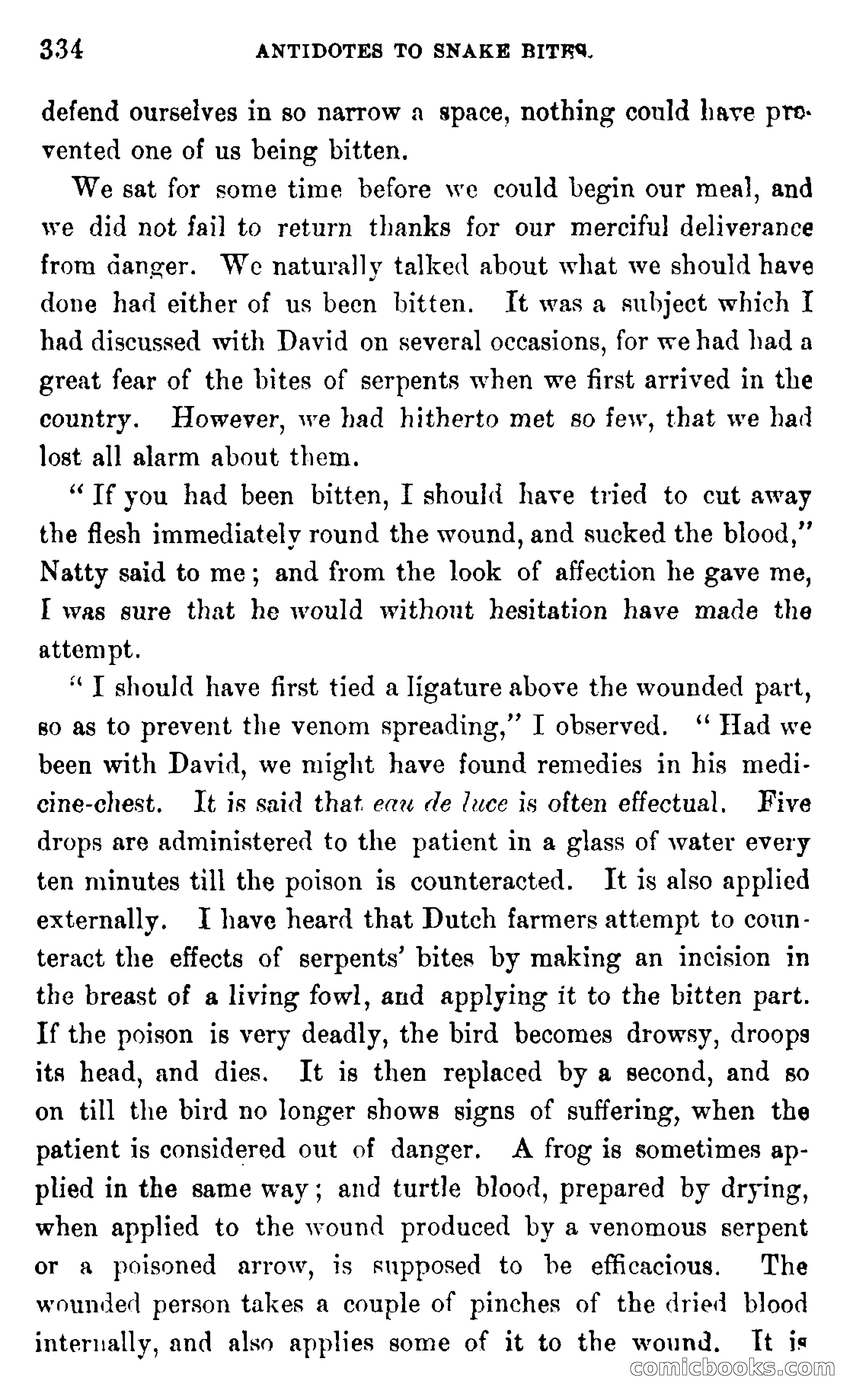 In the Wilds of Africa — page 334 of 400