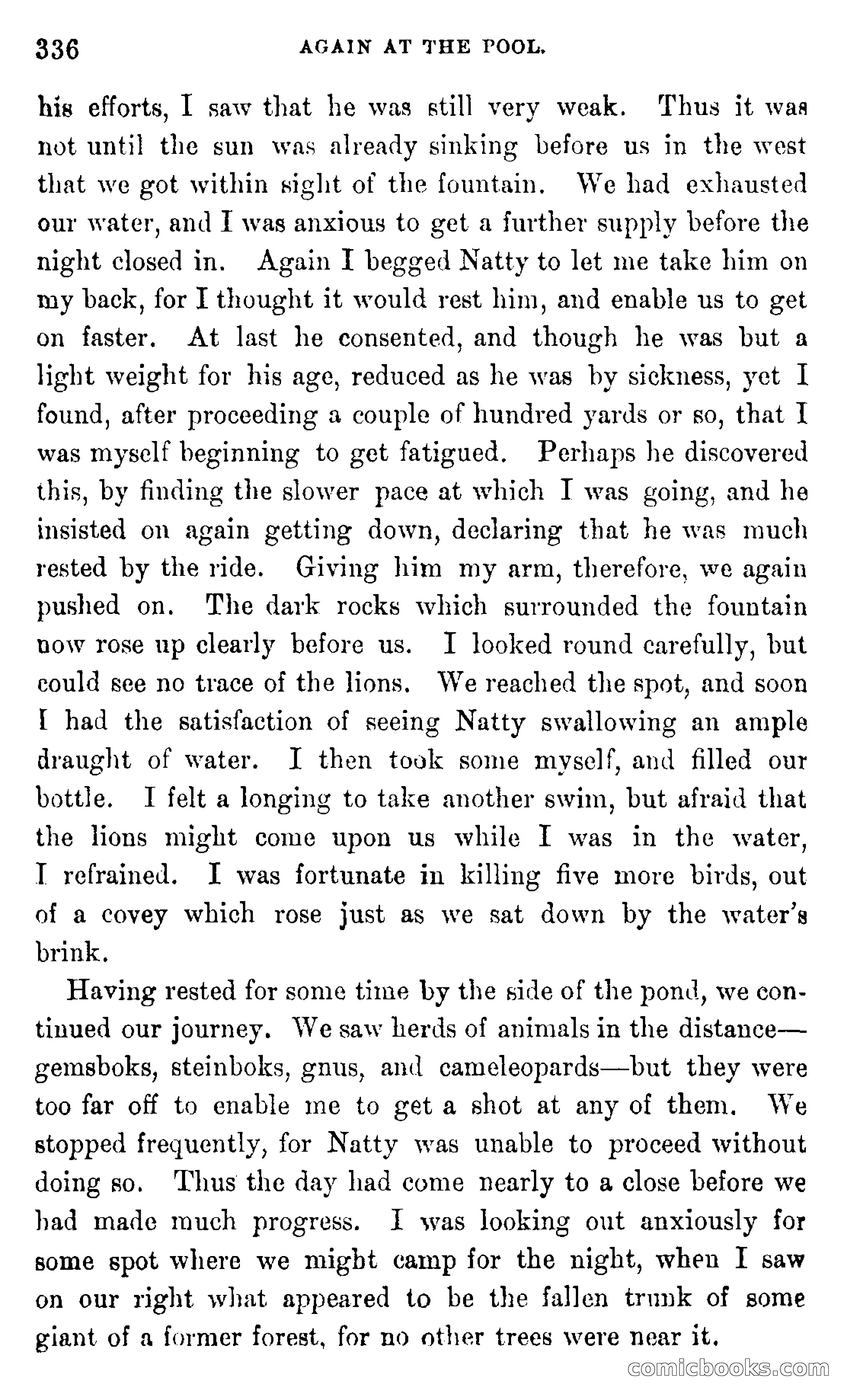 In the Wilds of Africa — page 336 of 400