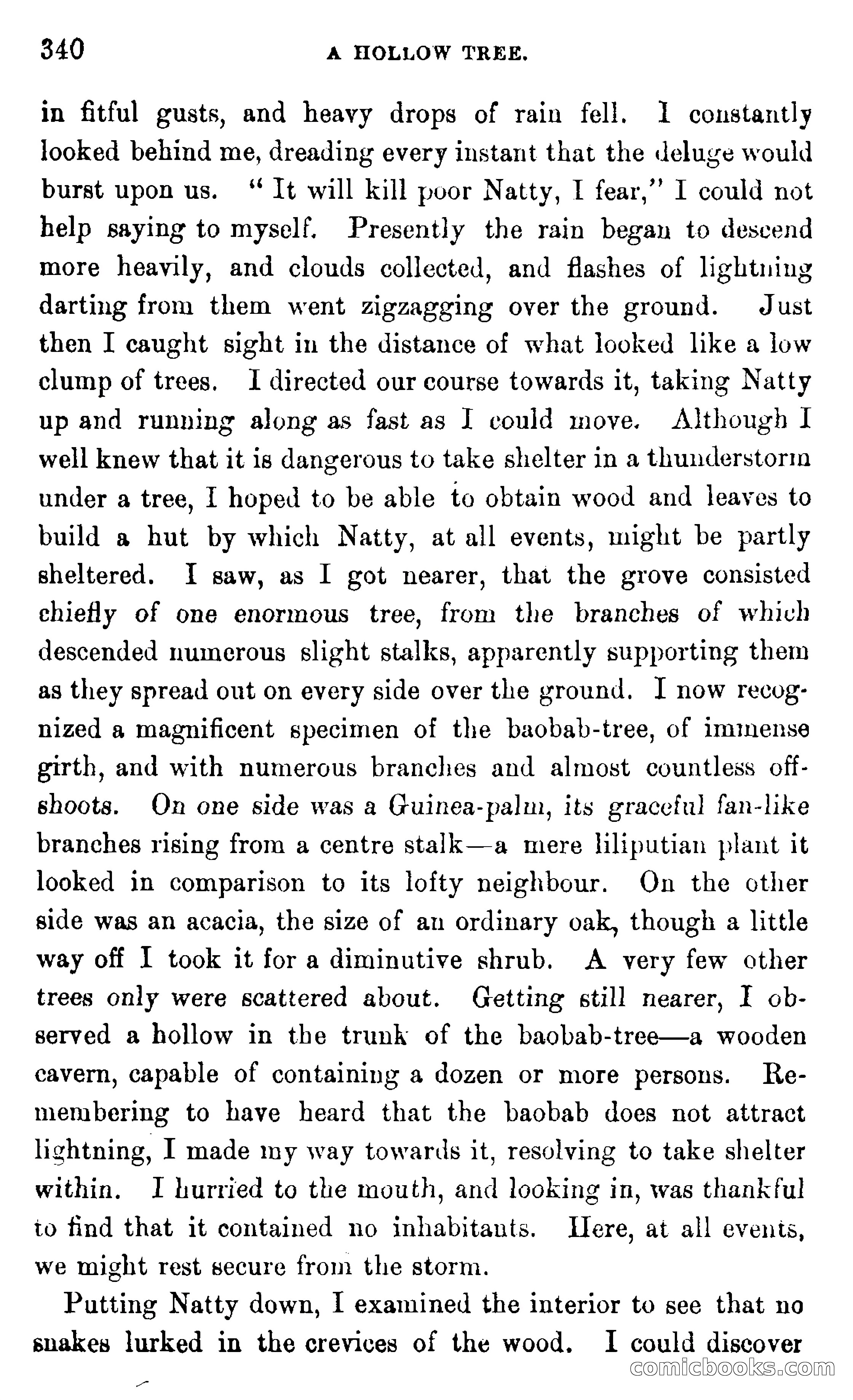 In the Wilds of Africa — page 340 of 400