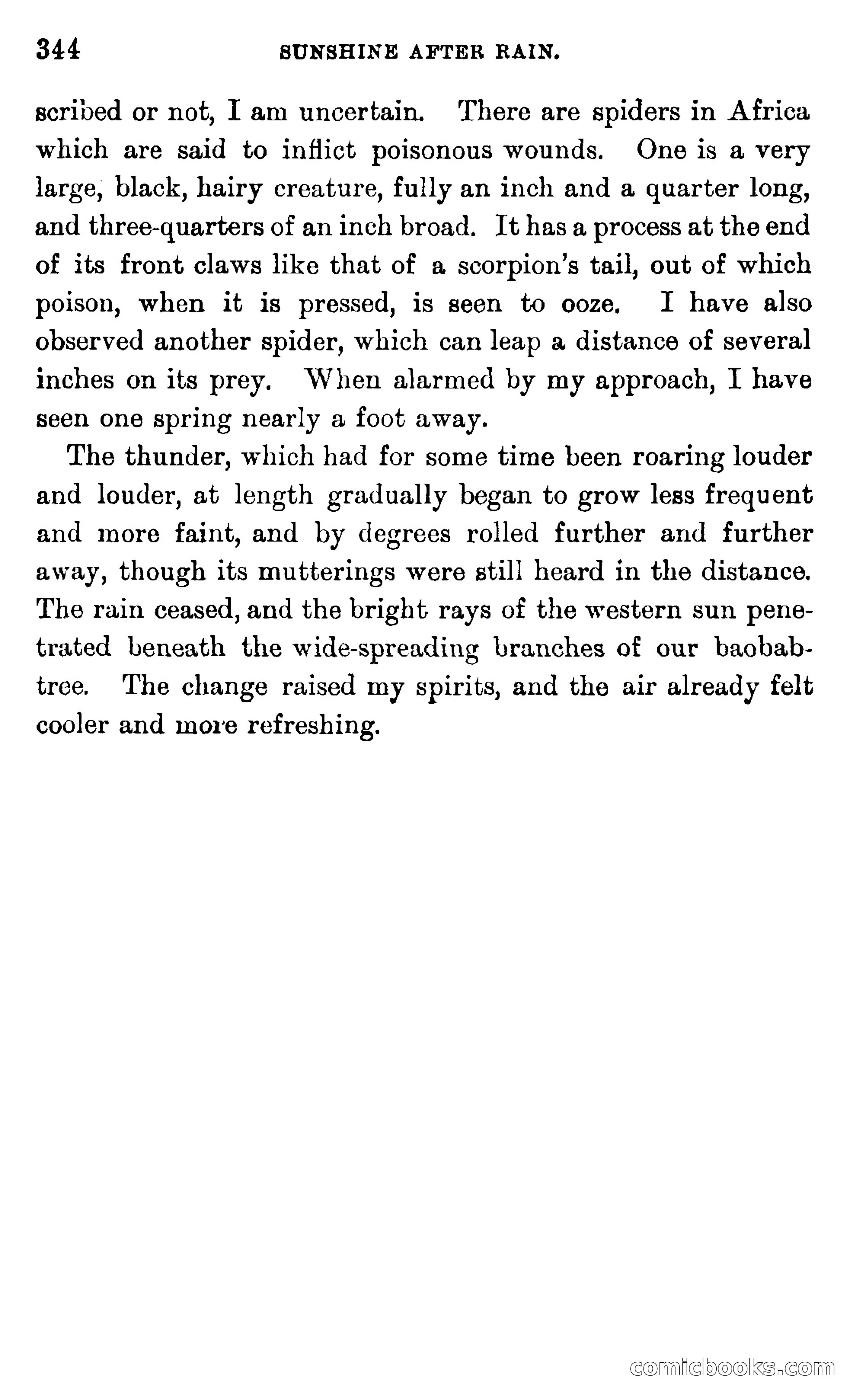 In the Wilds of Africa — page 344 of 400