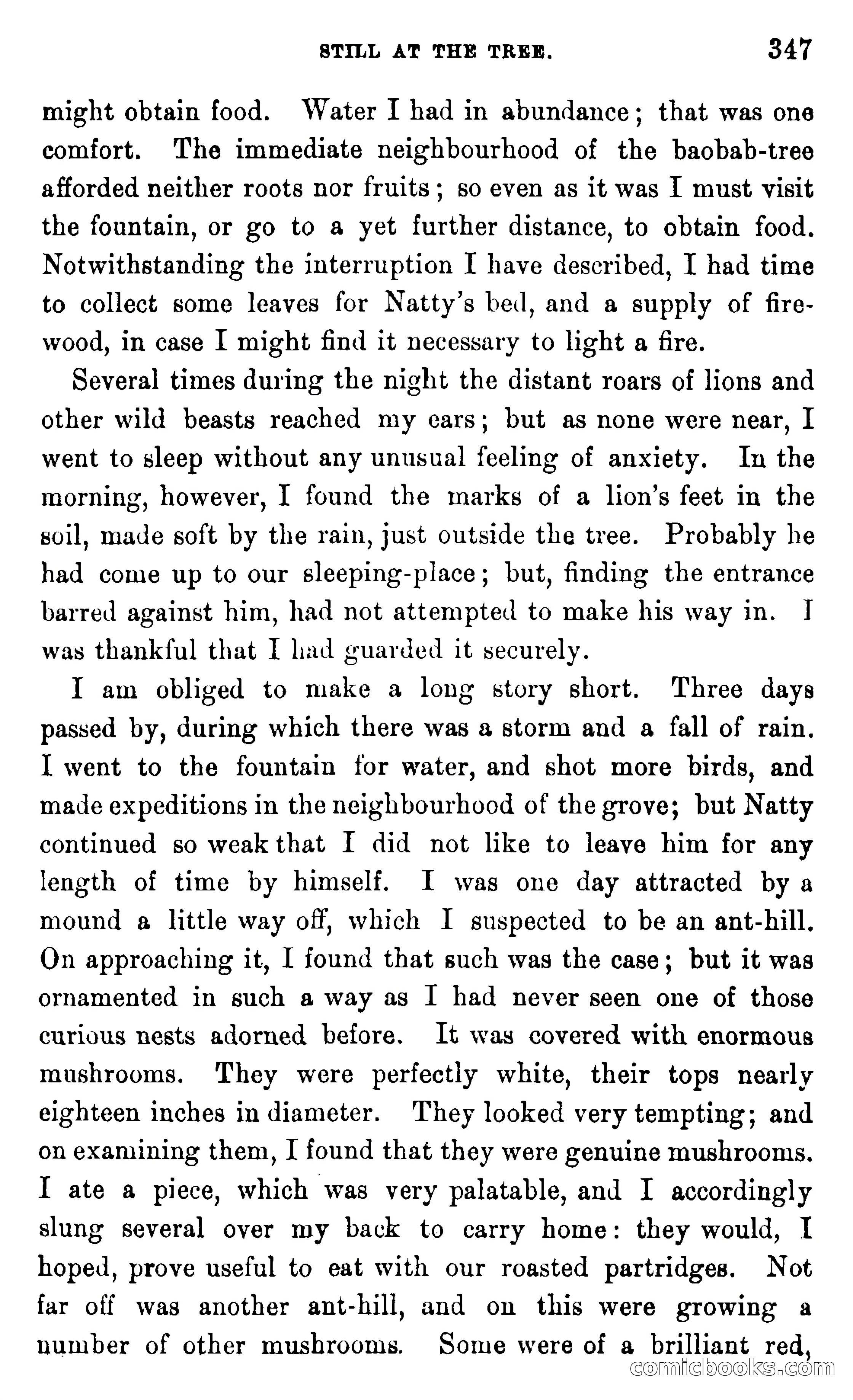 In the Wilds of Africa — page 347 of 400