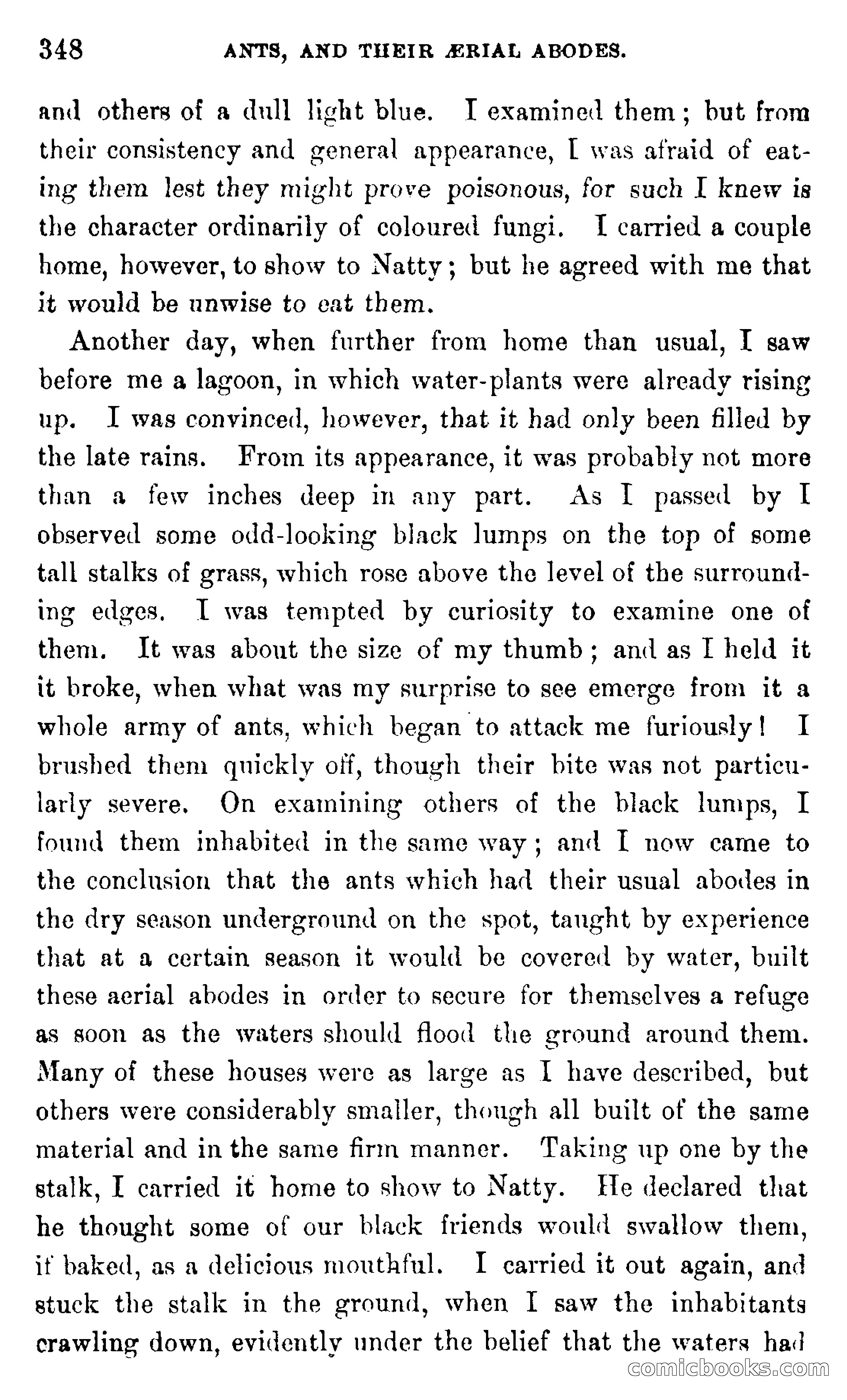 In the Wilds of Africa — page 348 of 400