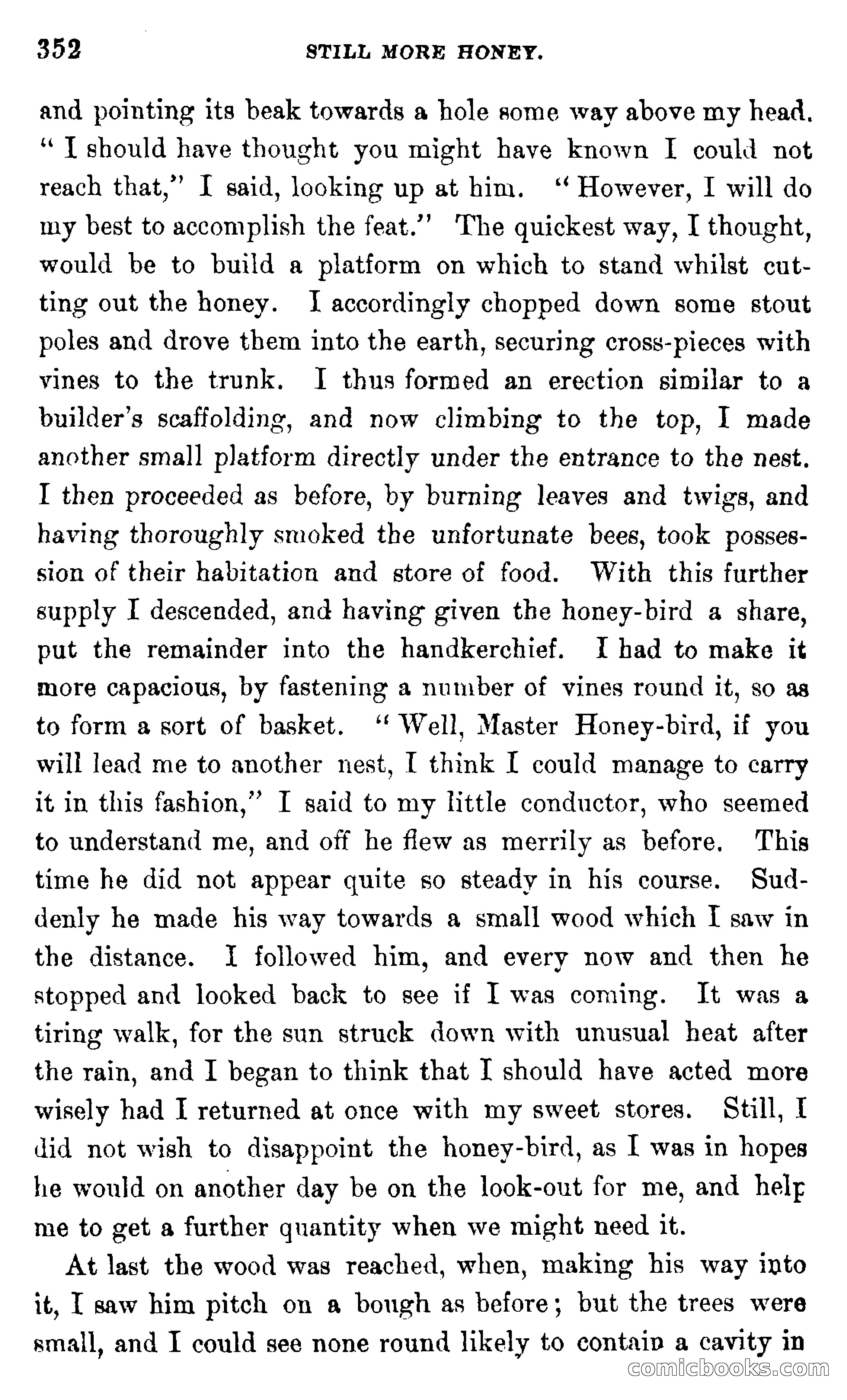 In the Wilds of Africa — page 352 of 400