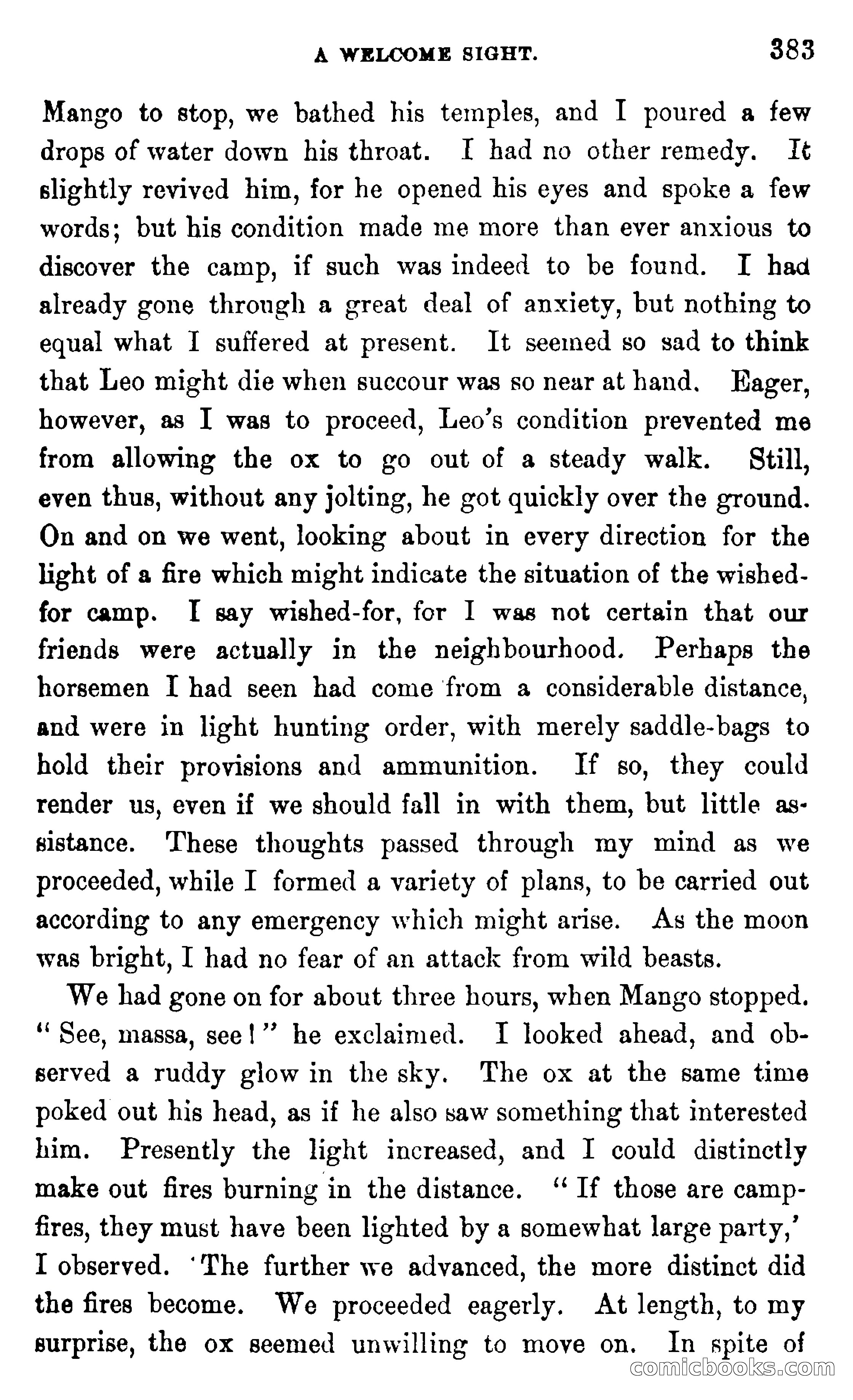 In the Wilds of Africa — page 383 of 400