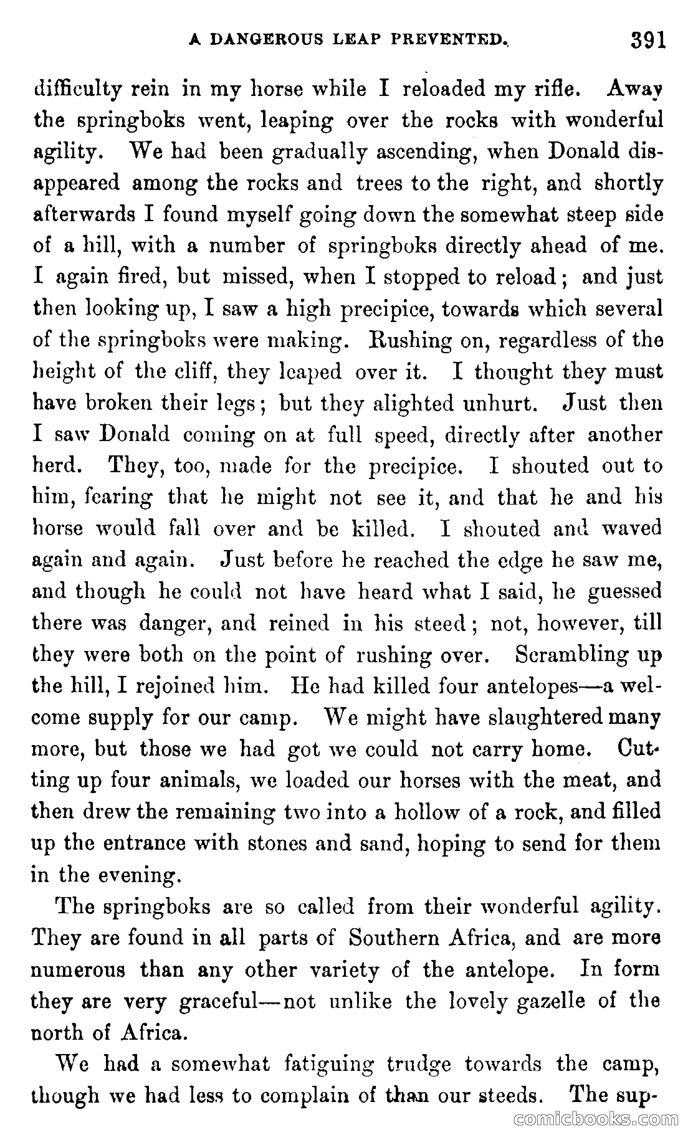 In the Wilds of Africa — page 391 of 400