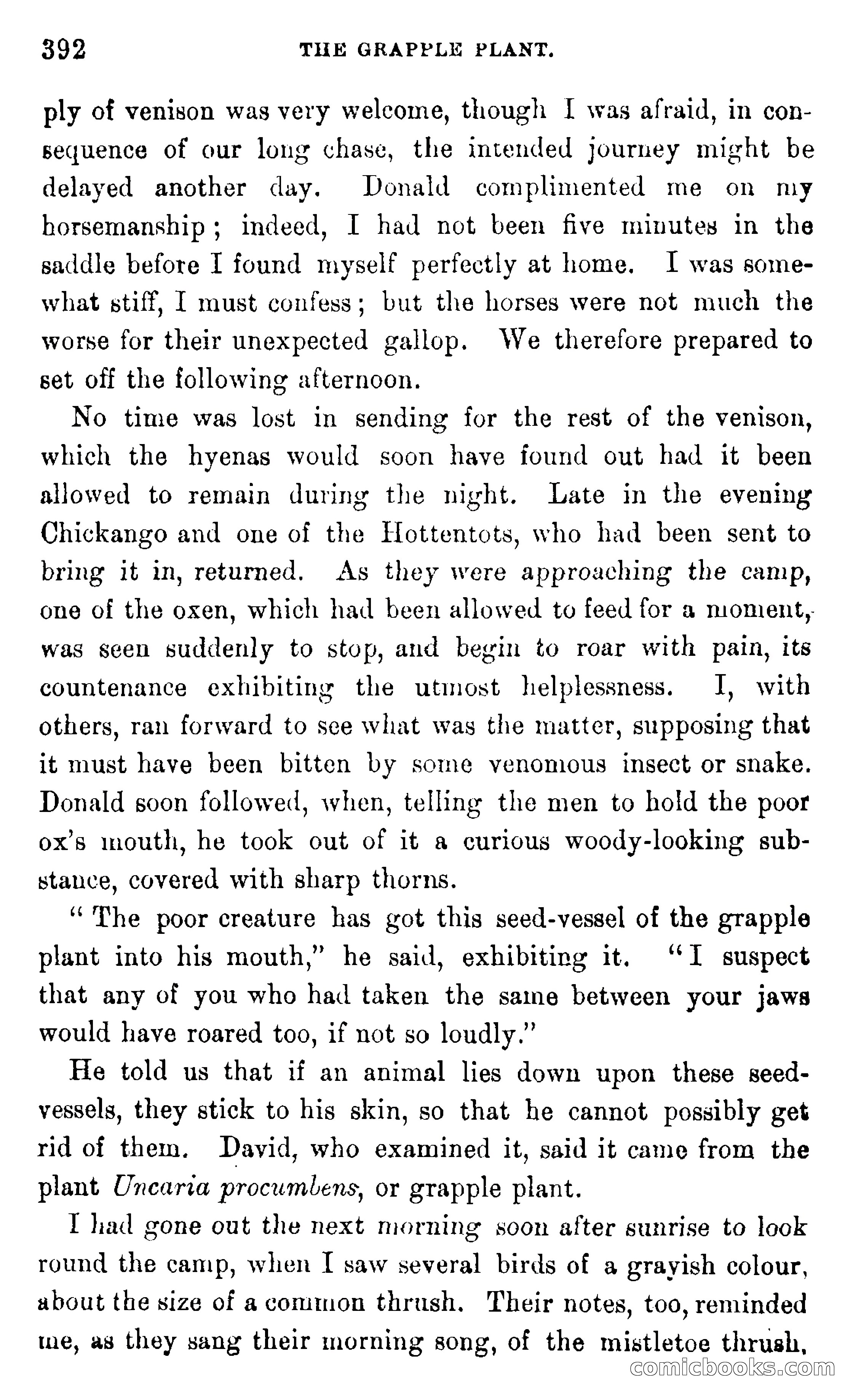 In the Wilds of Africa — page 392 of 400