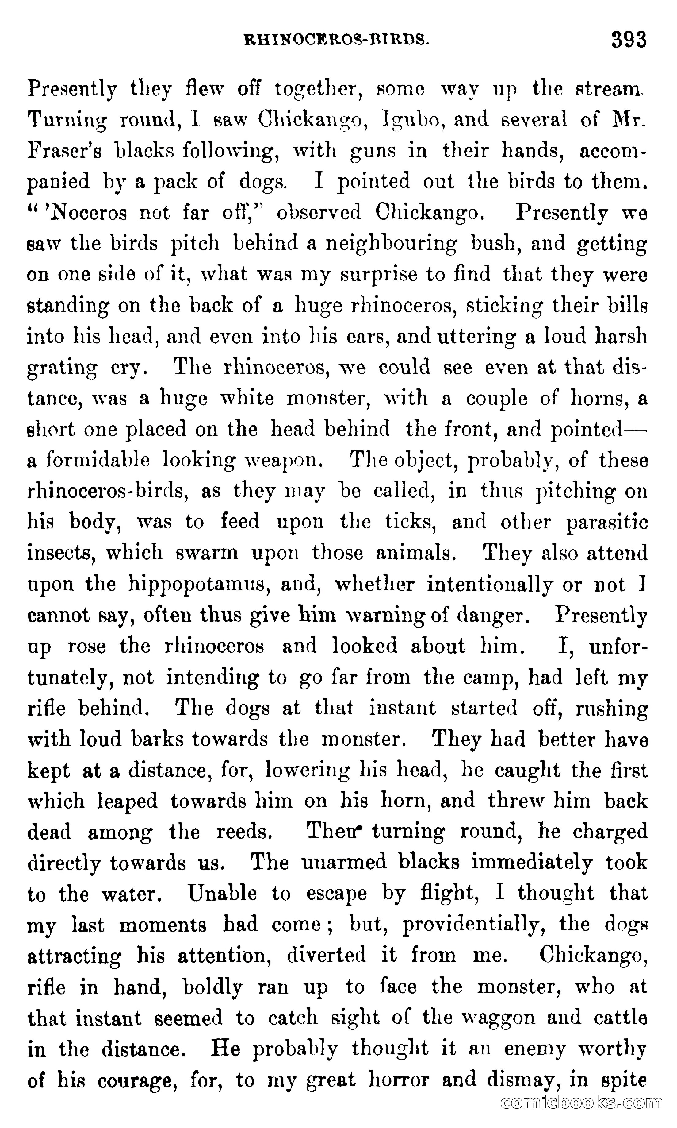 In the Wilds of Africa — page 393 of 400