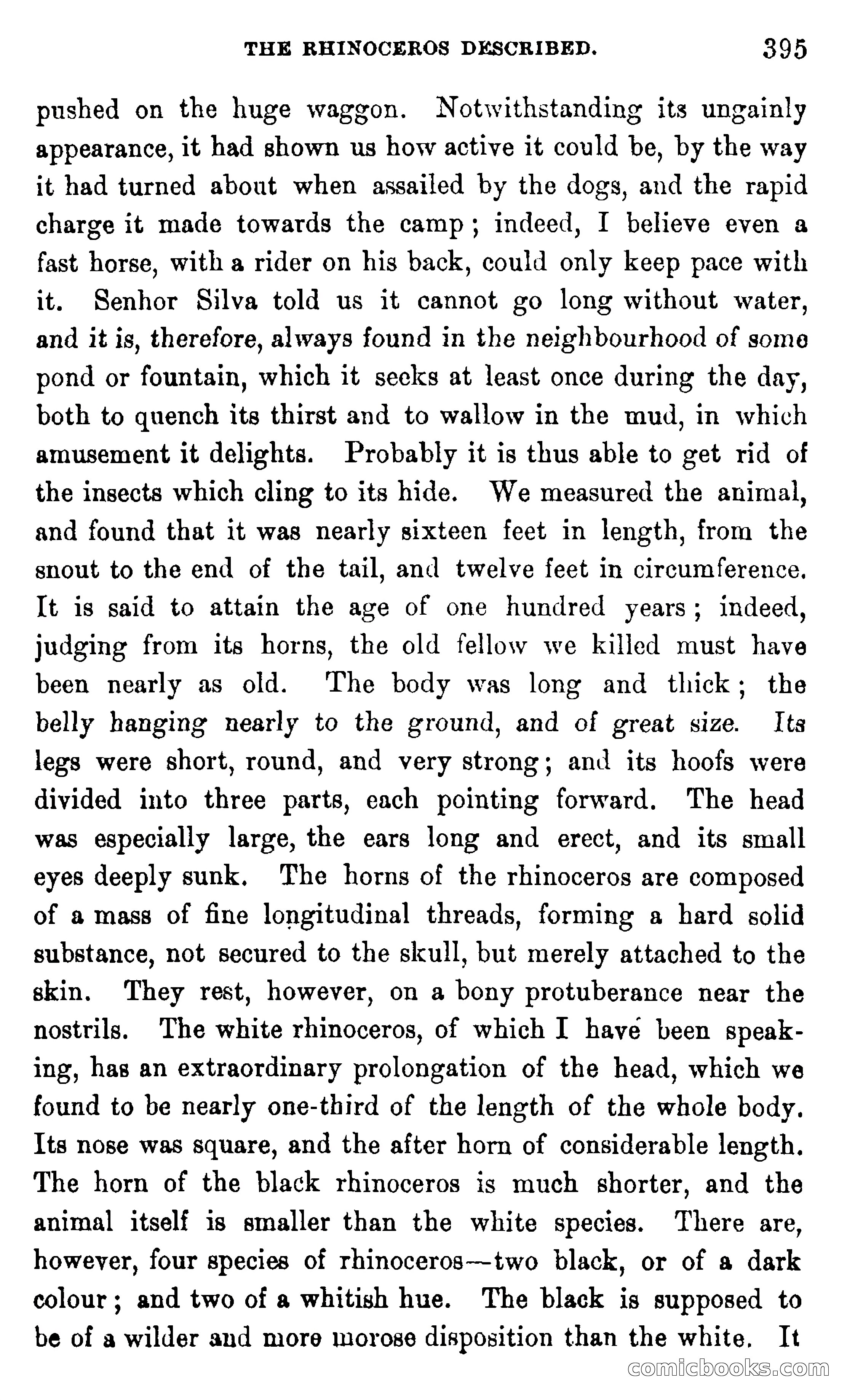 In the Wilds of Africa — page 395 of 400