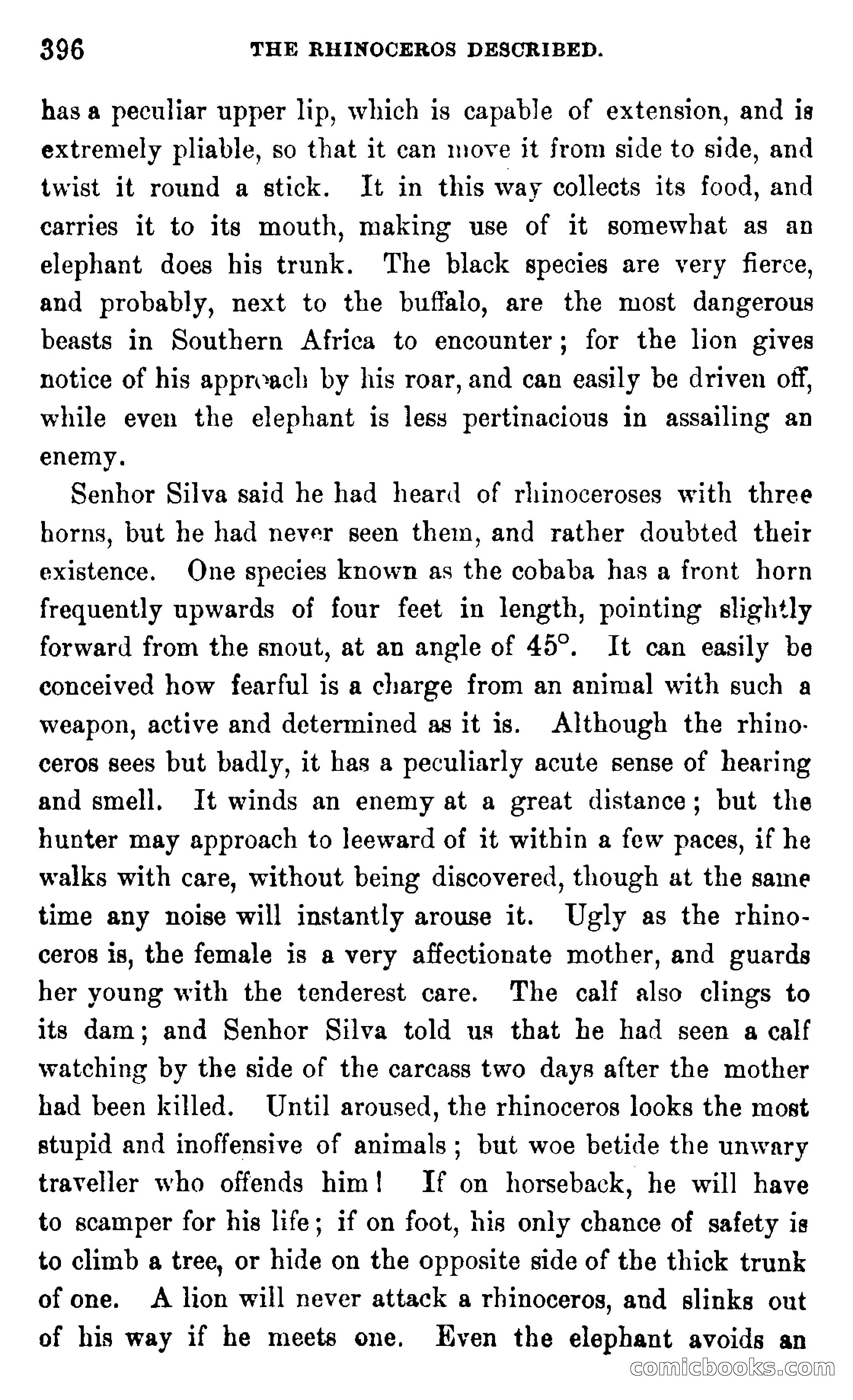 In the Wilds of Africa — page 396 of 400