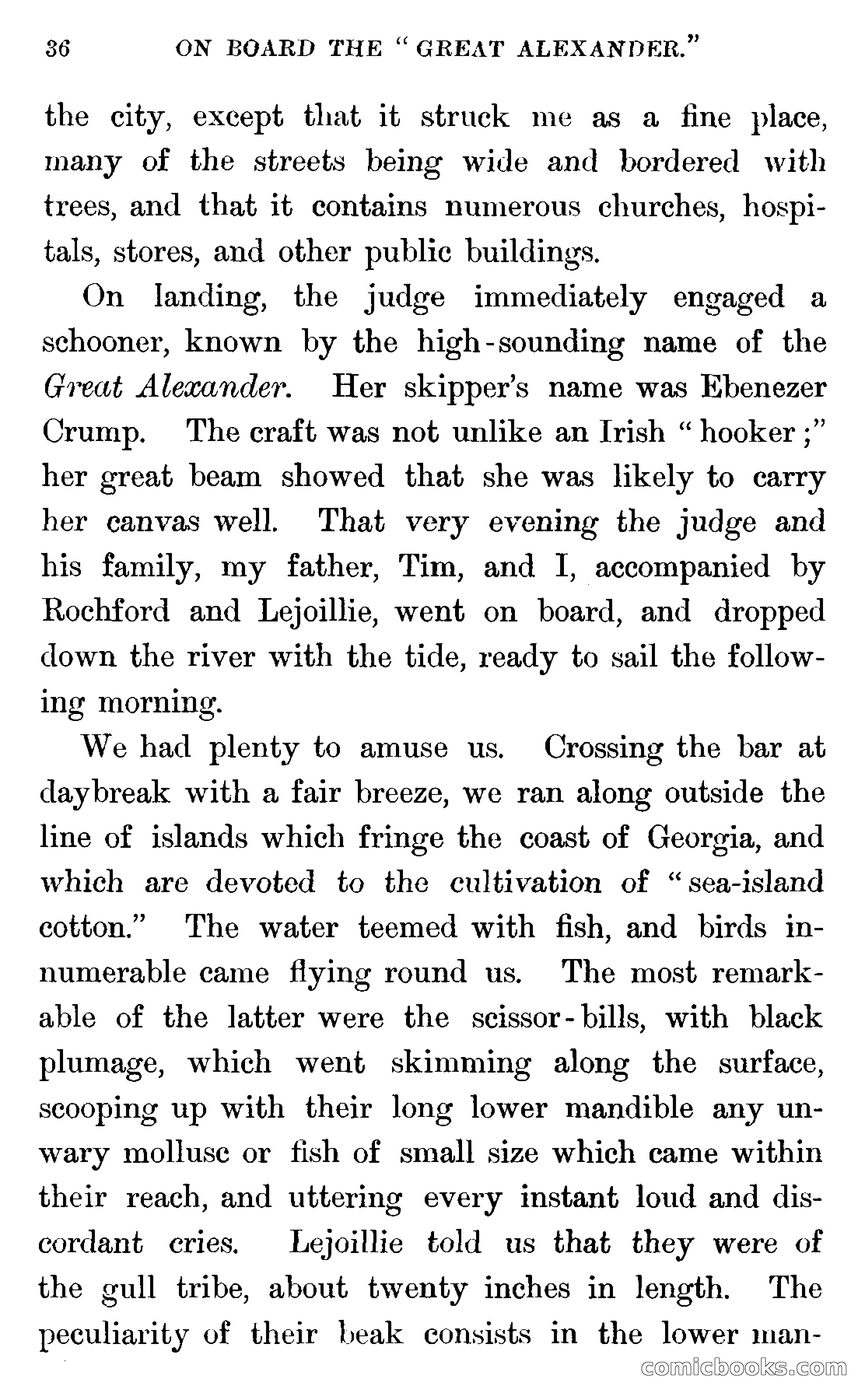In the Wilds of Florida — page 38 of 400