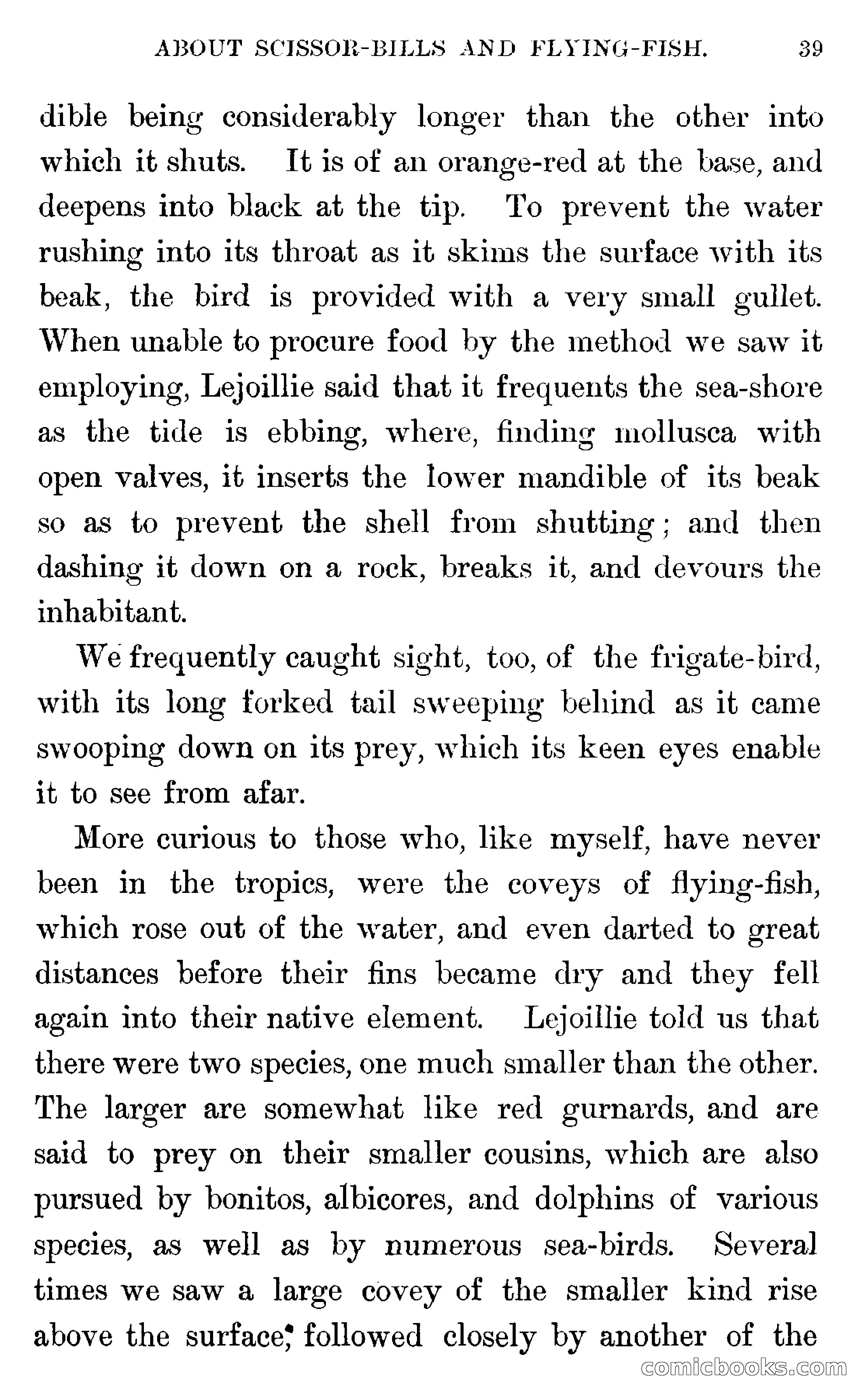 In the Wilds of Florida — page 41 of 400