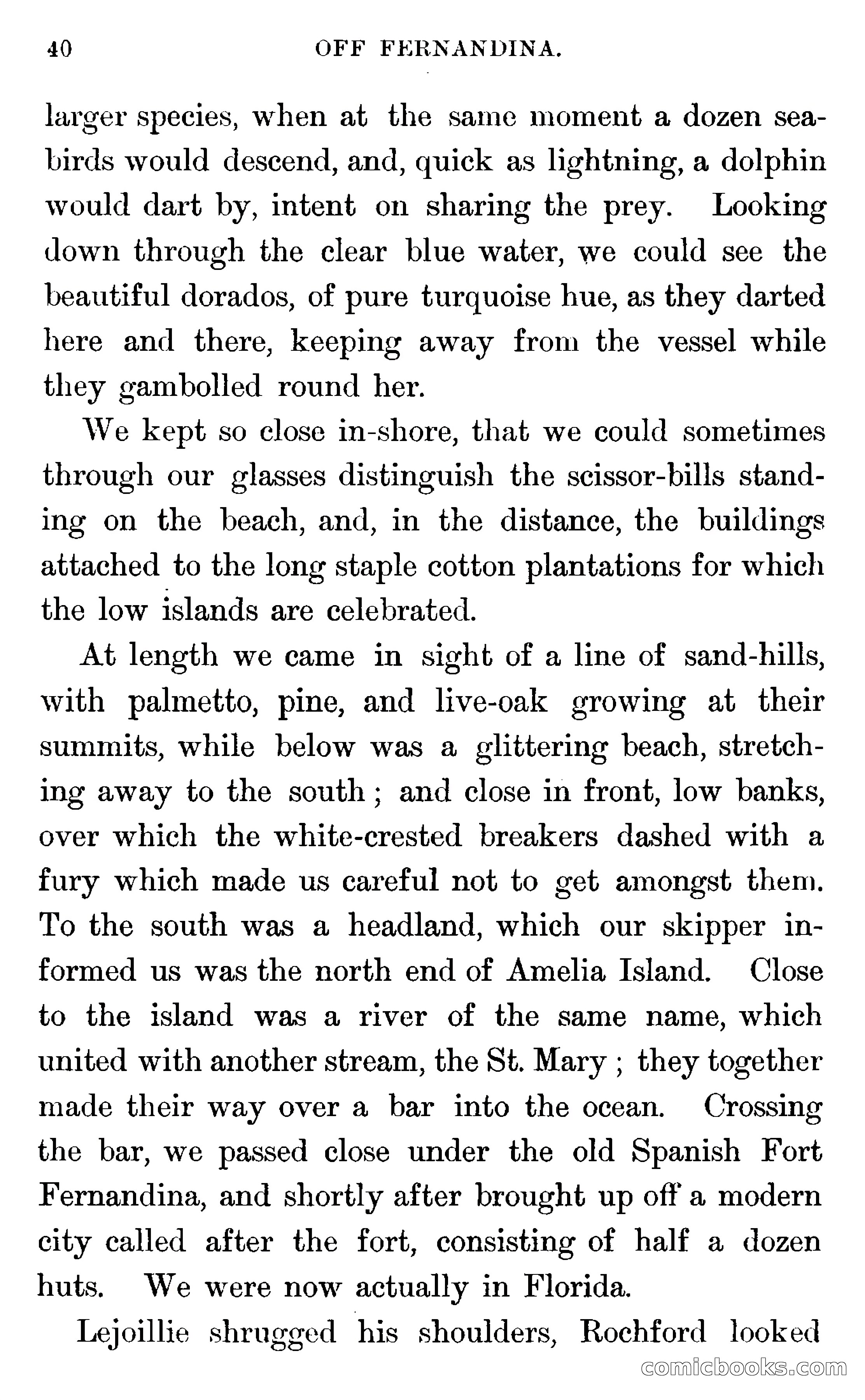In the Wilds of Florida — page 42 of 400