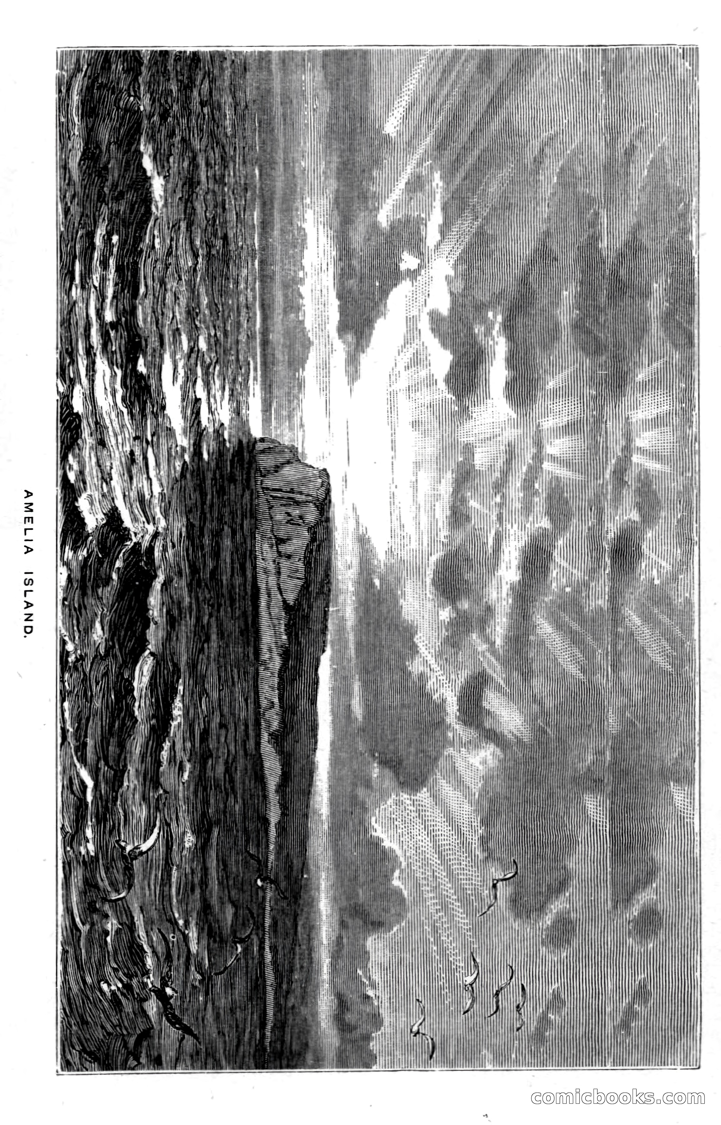 In the Wilds of Florida — page 43 of 400