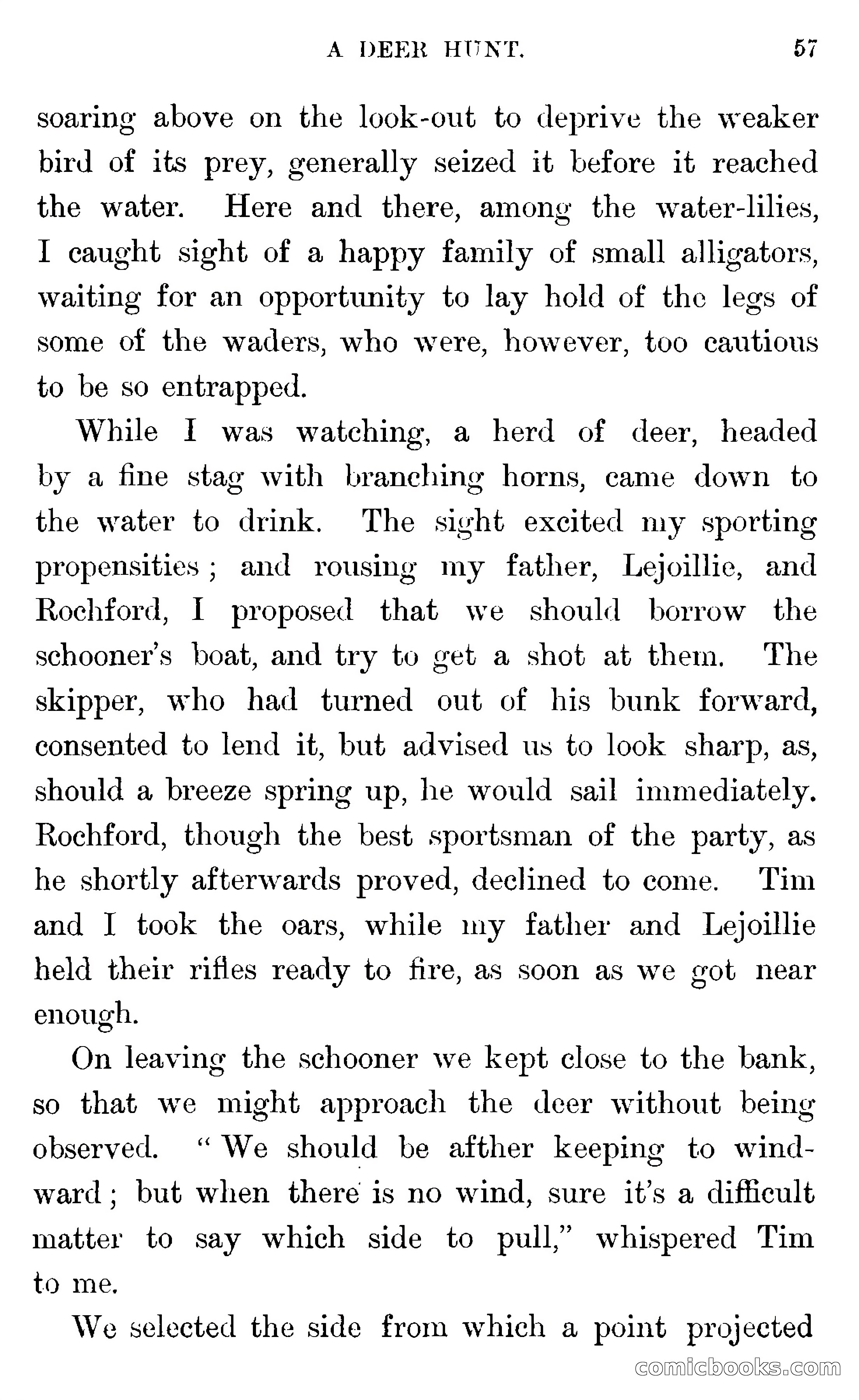 In the Wilds of Florida — page 59 of 400