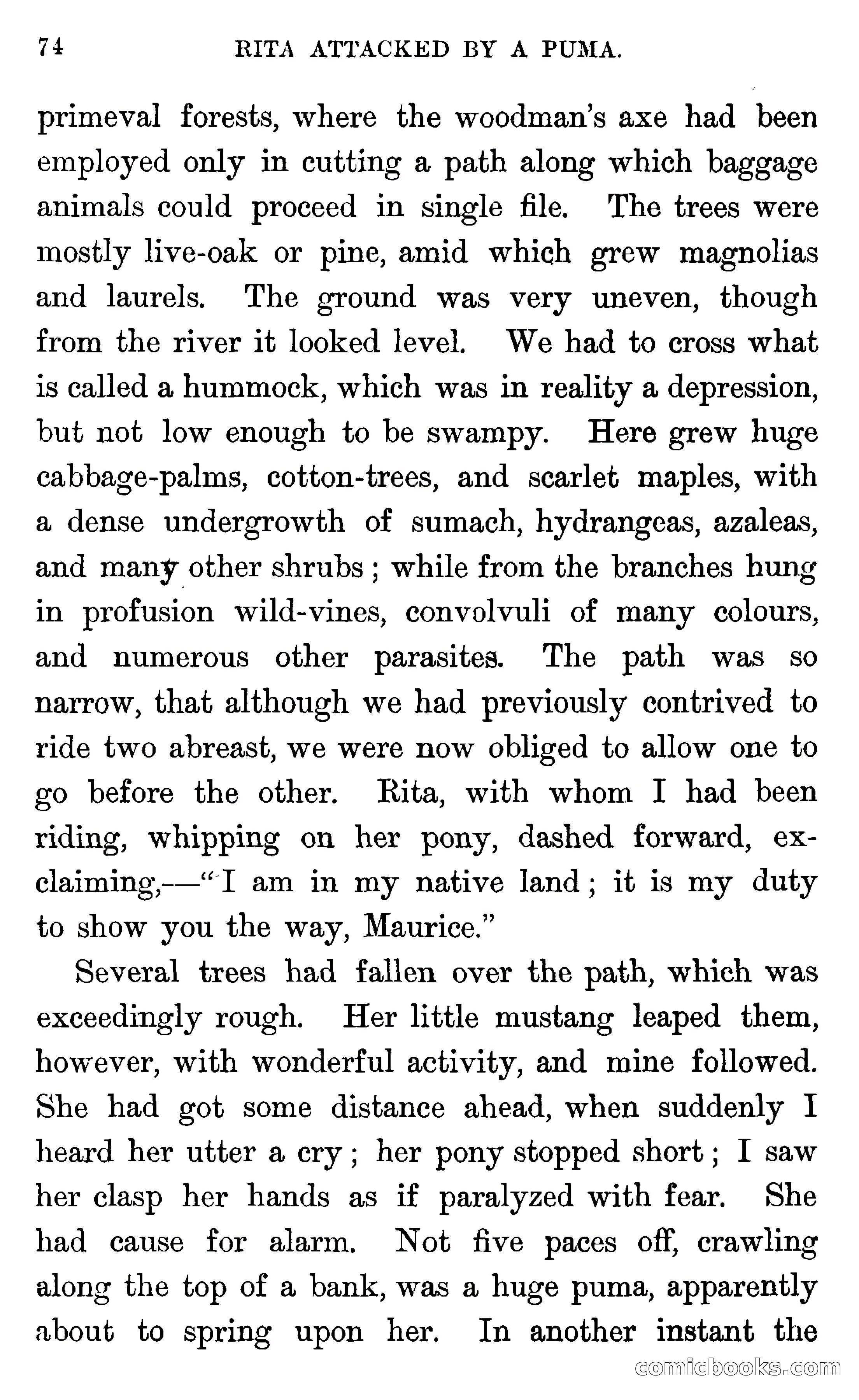 In the Wilds of Florida — page 76 of 400