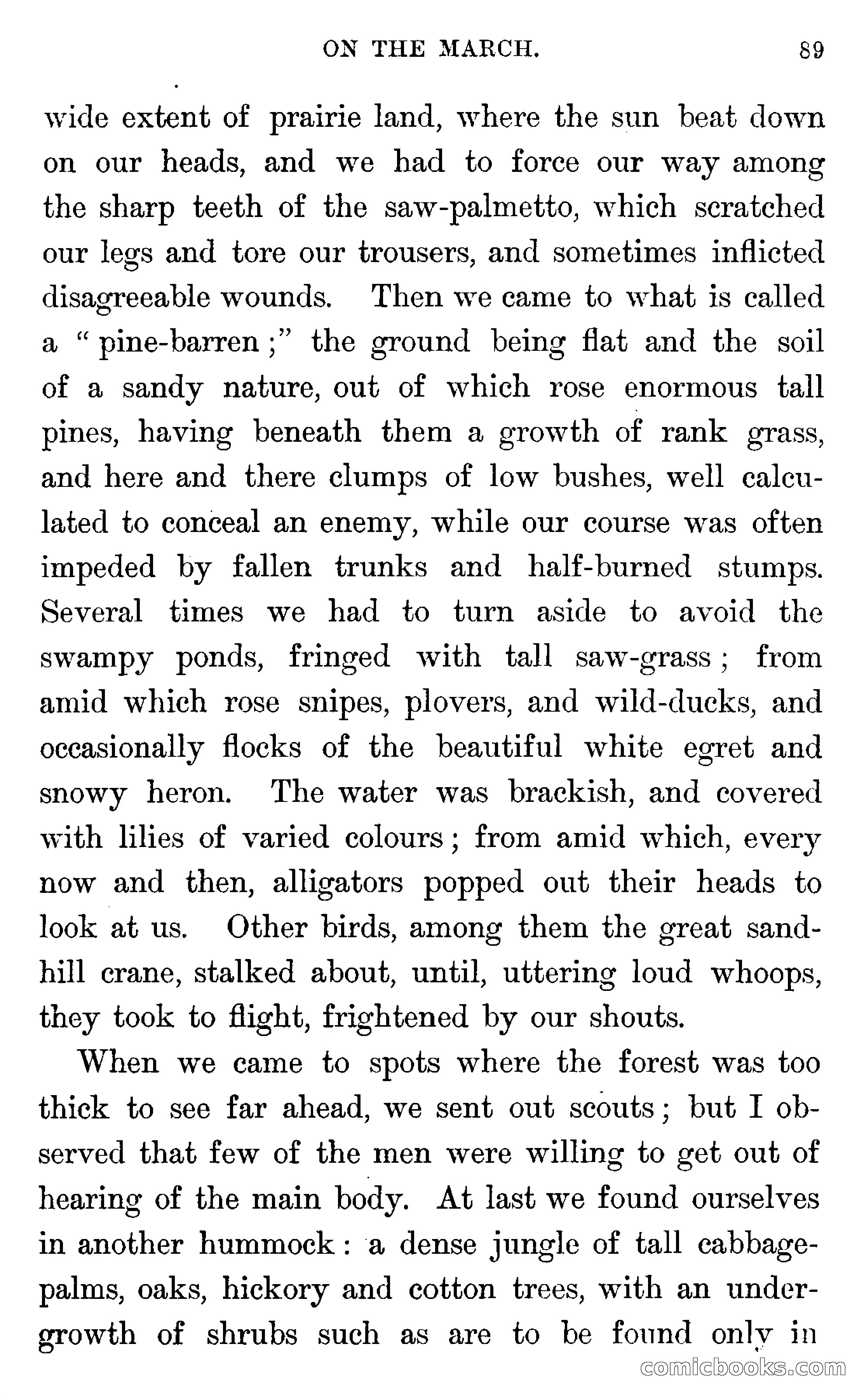 In the Wilds of Florida — page 91 of 400