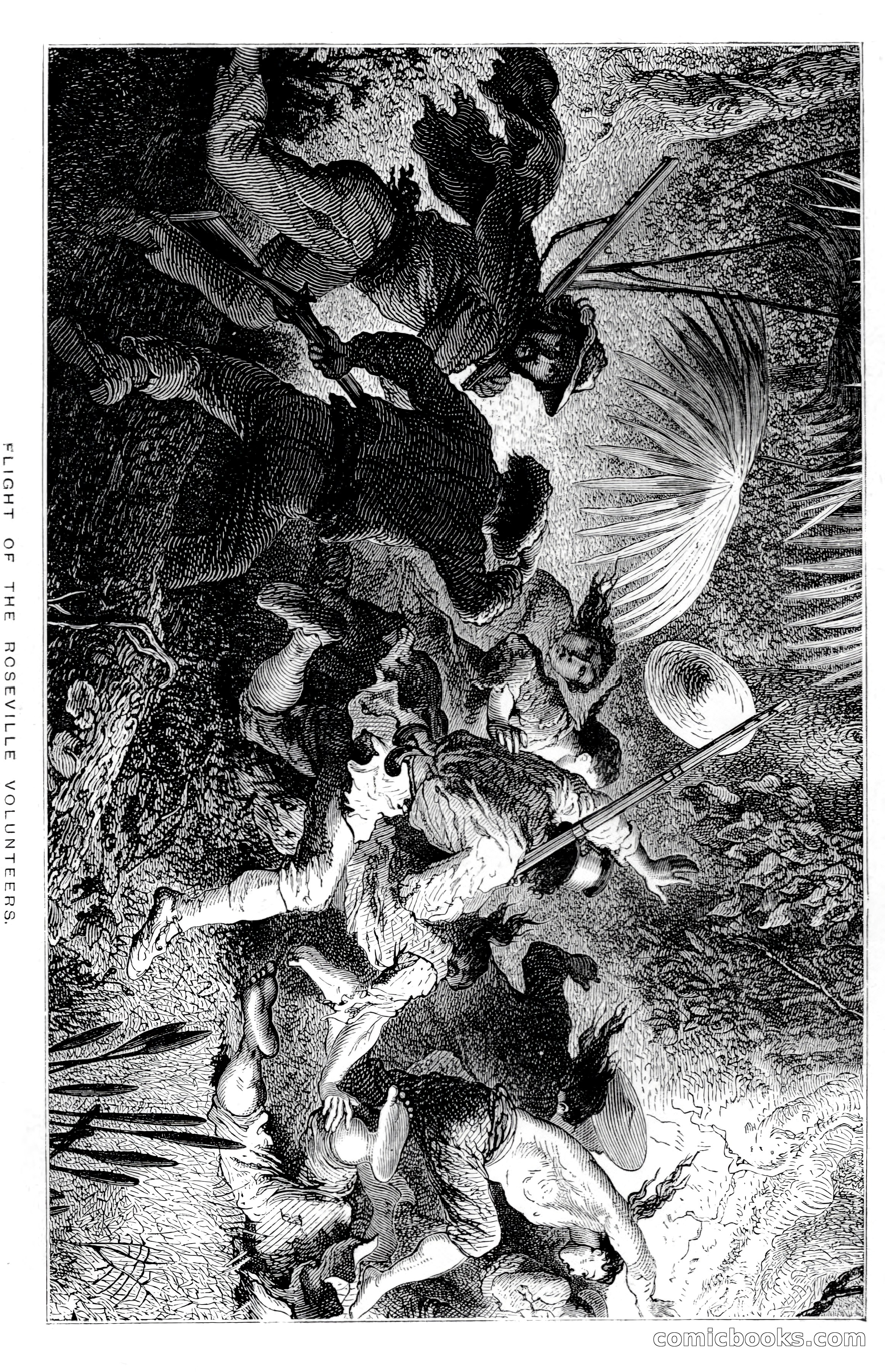 In the Wilds of Florida — page 93 of 400