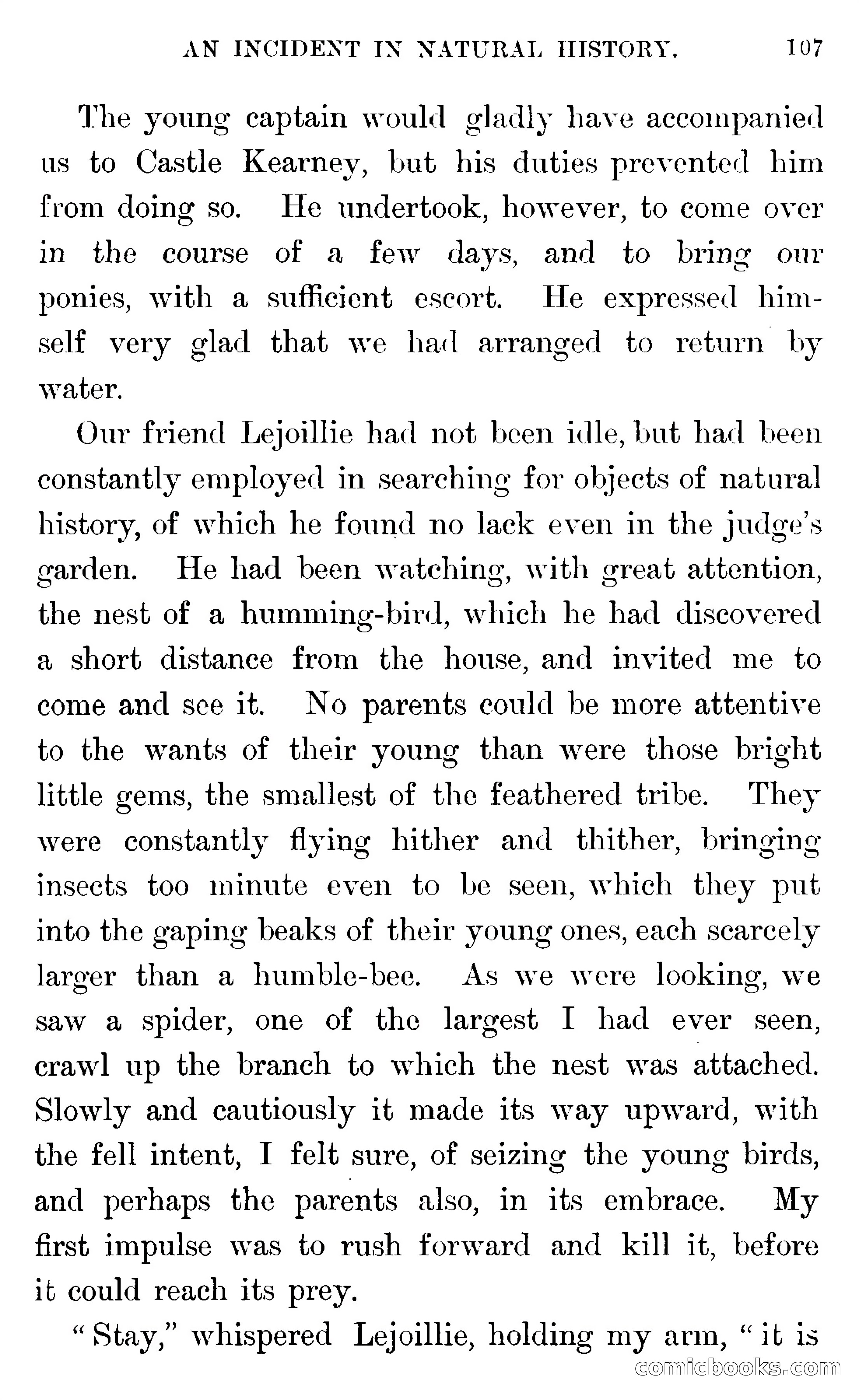 In the Wilds of Florida — page 109 of 400