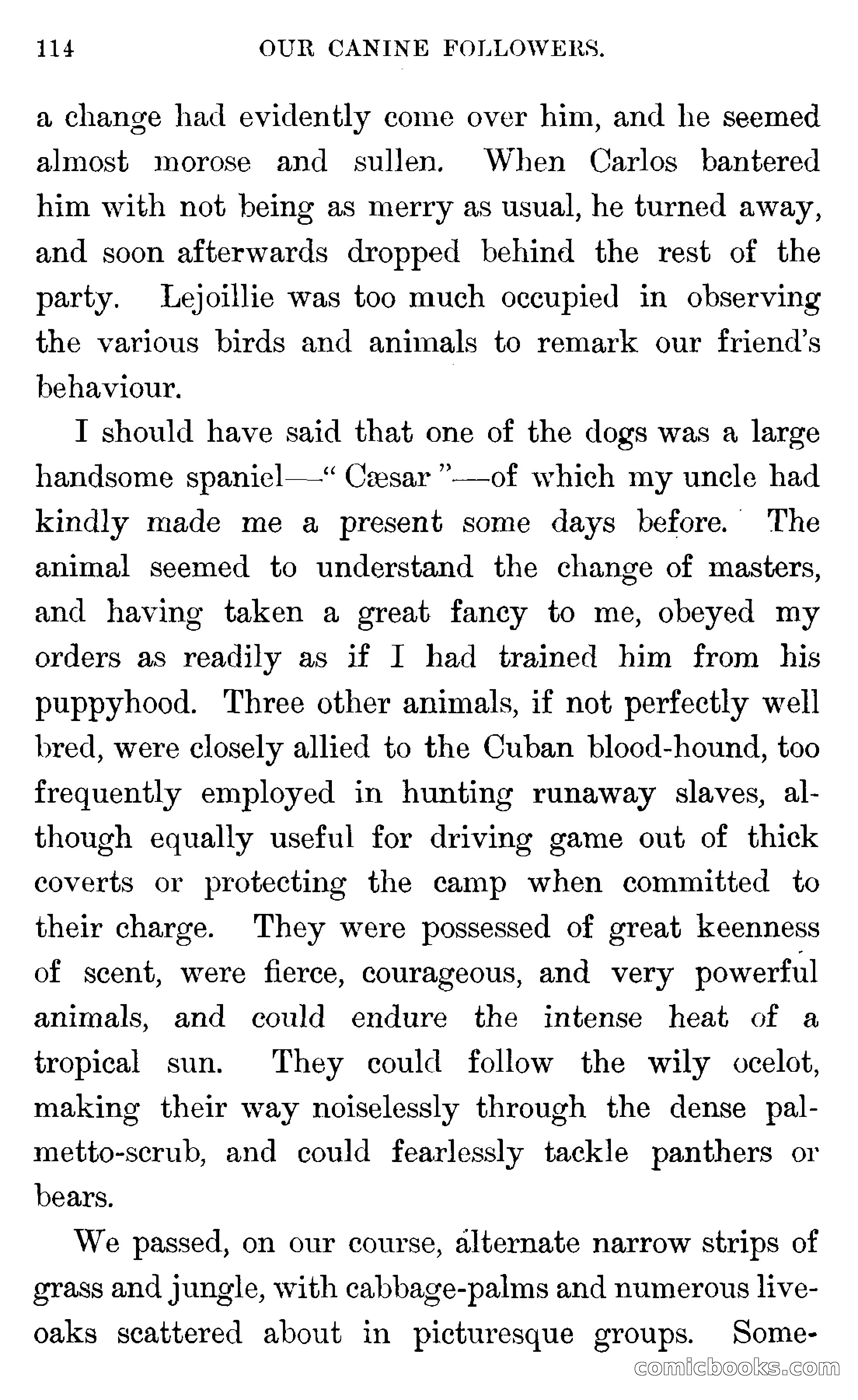 In the Wilds of Florida — page 116 of 400