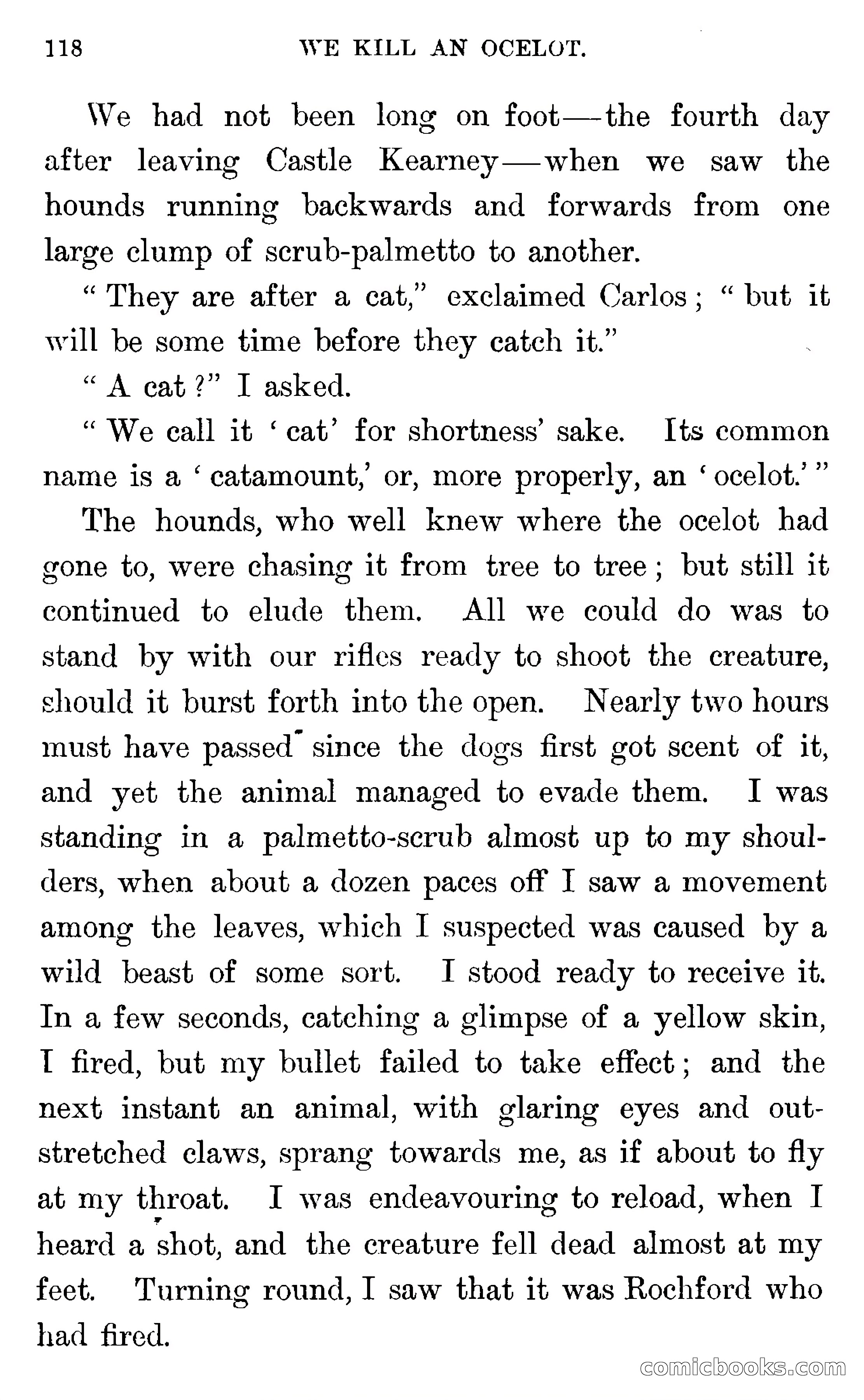 In the Wilds of Florida — page 120 of 400