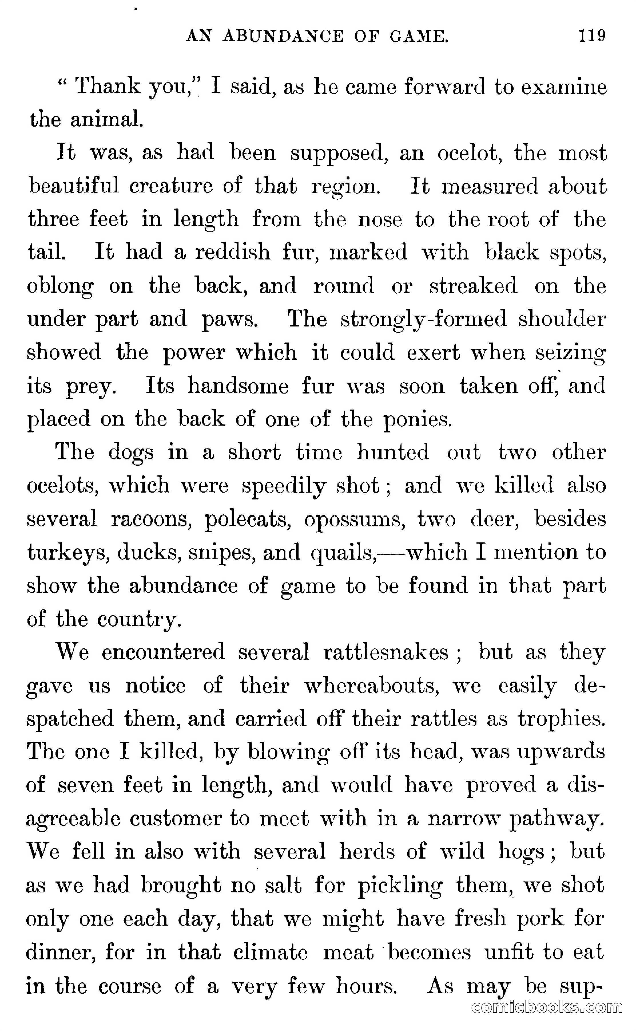 In the Wilds of Florida — page 121 of 400