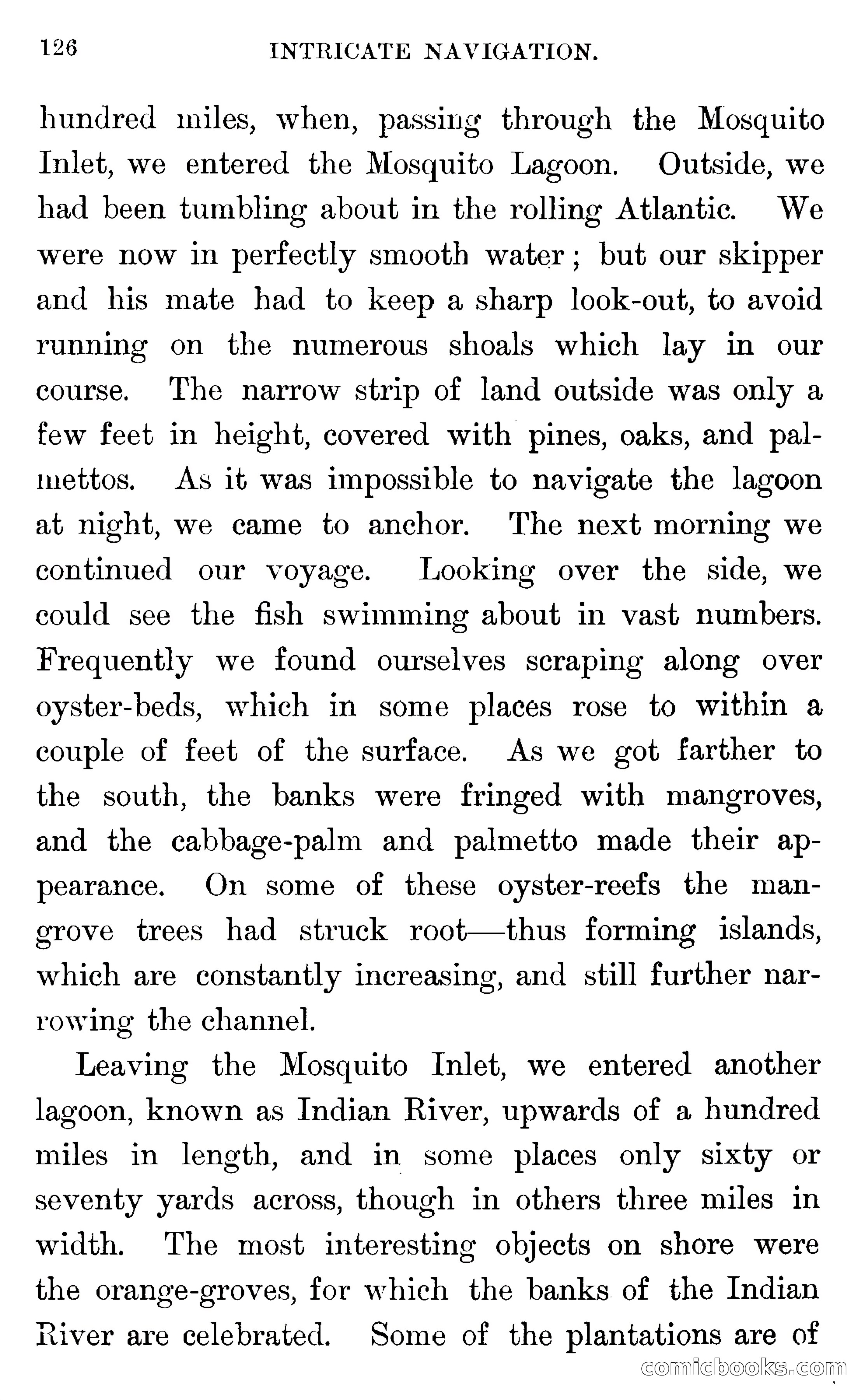 In the Wilds of Florida — page 128 of 400