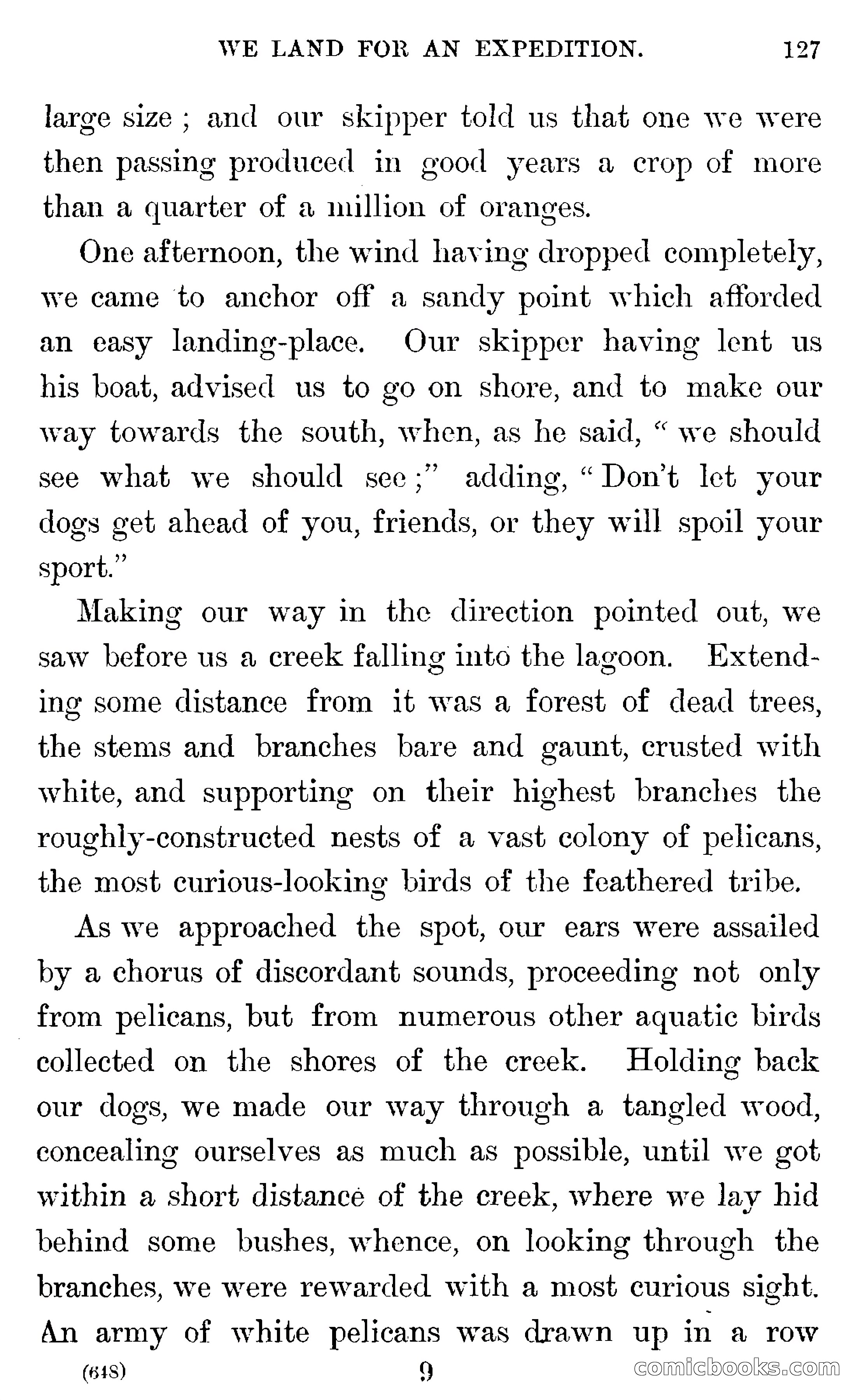 In the Wilds of Florida — page 129 of 400
