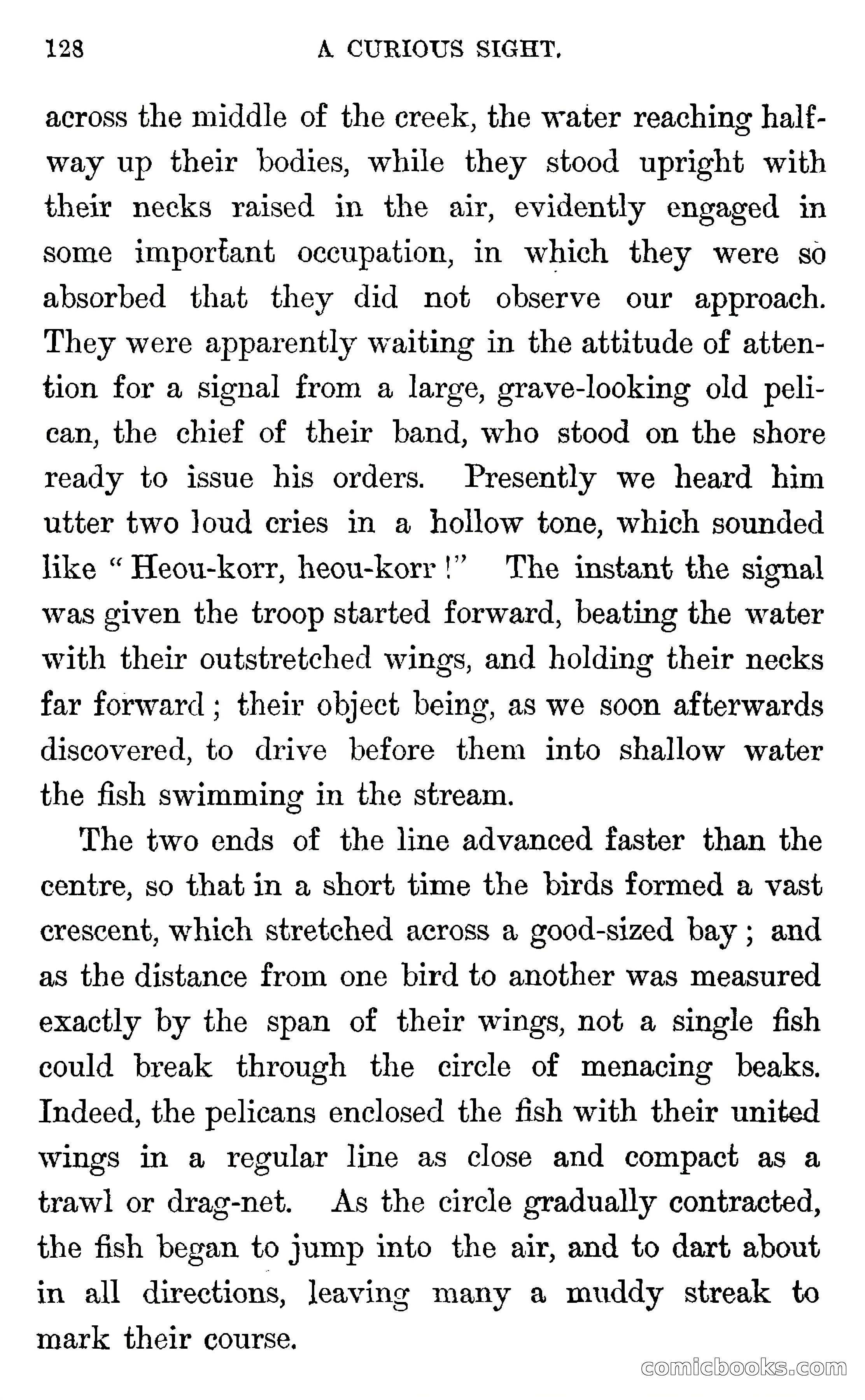 In the Wilds of Florida — page 130 of 400