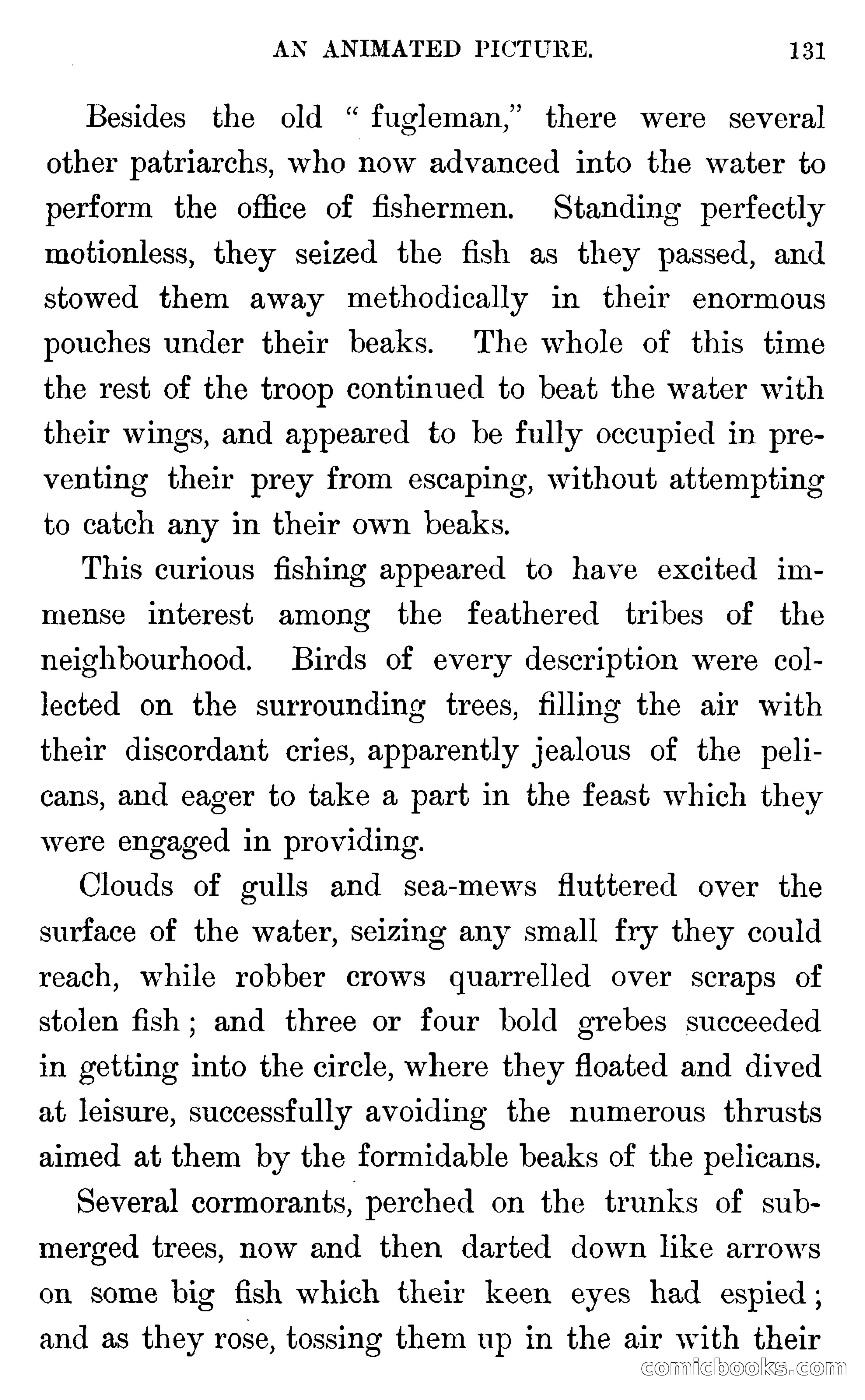 In the Wilds of Florida — page 133 of 400